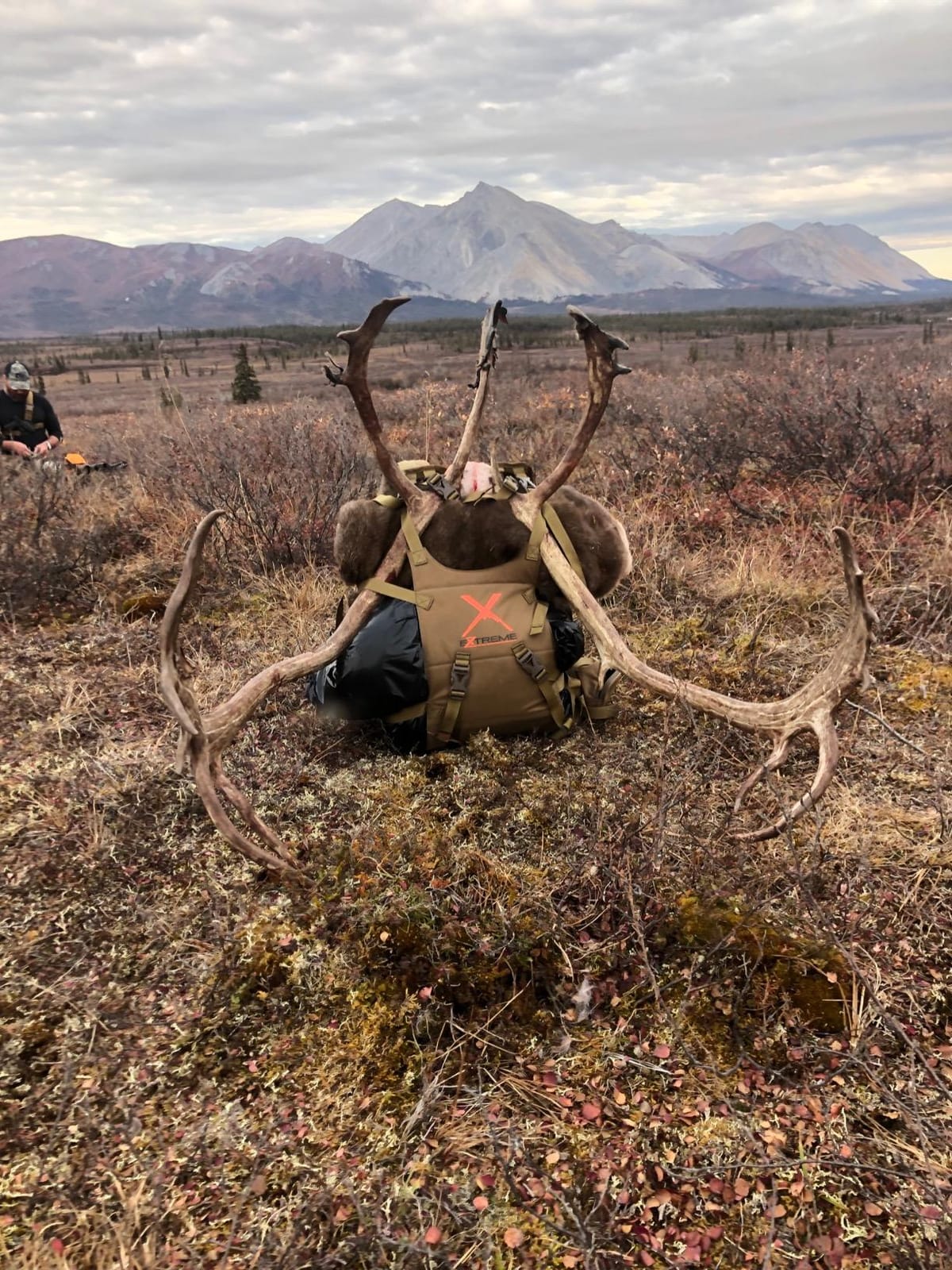 Extreme Hybrid X, Coyote Brown customer photo 1