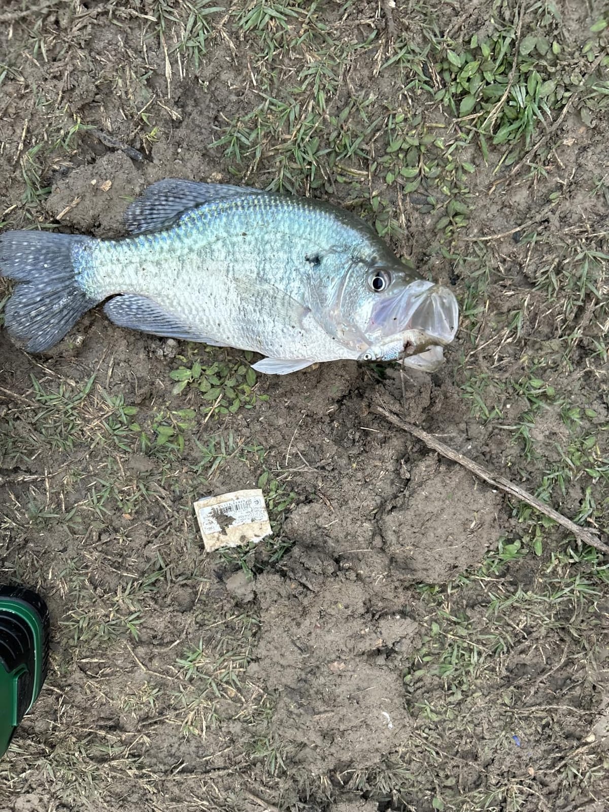 KastKing Centron Fishing Rod and Reel Combo, Baitcaster & Spinning Combo customer photo 2