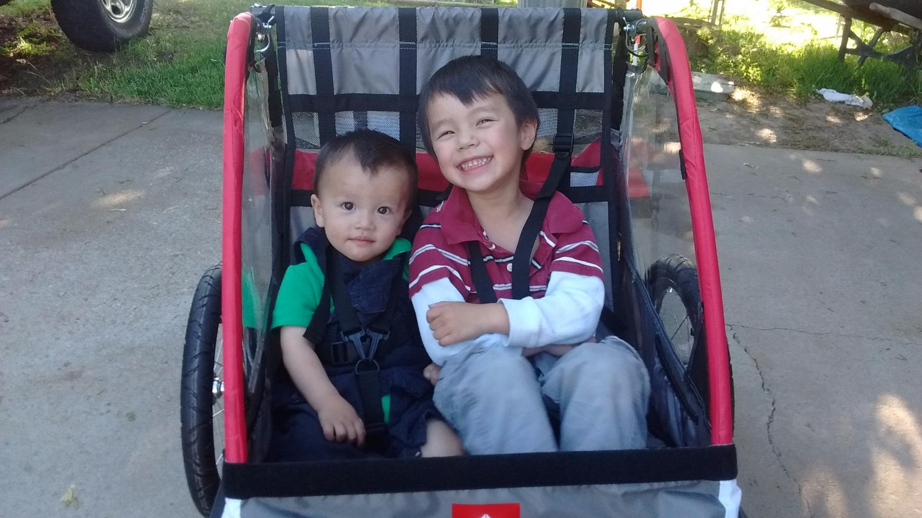 Allen Sports Deluxe Steel Child Trailer customer photo 1