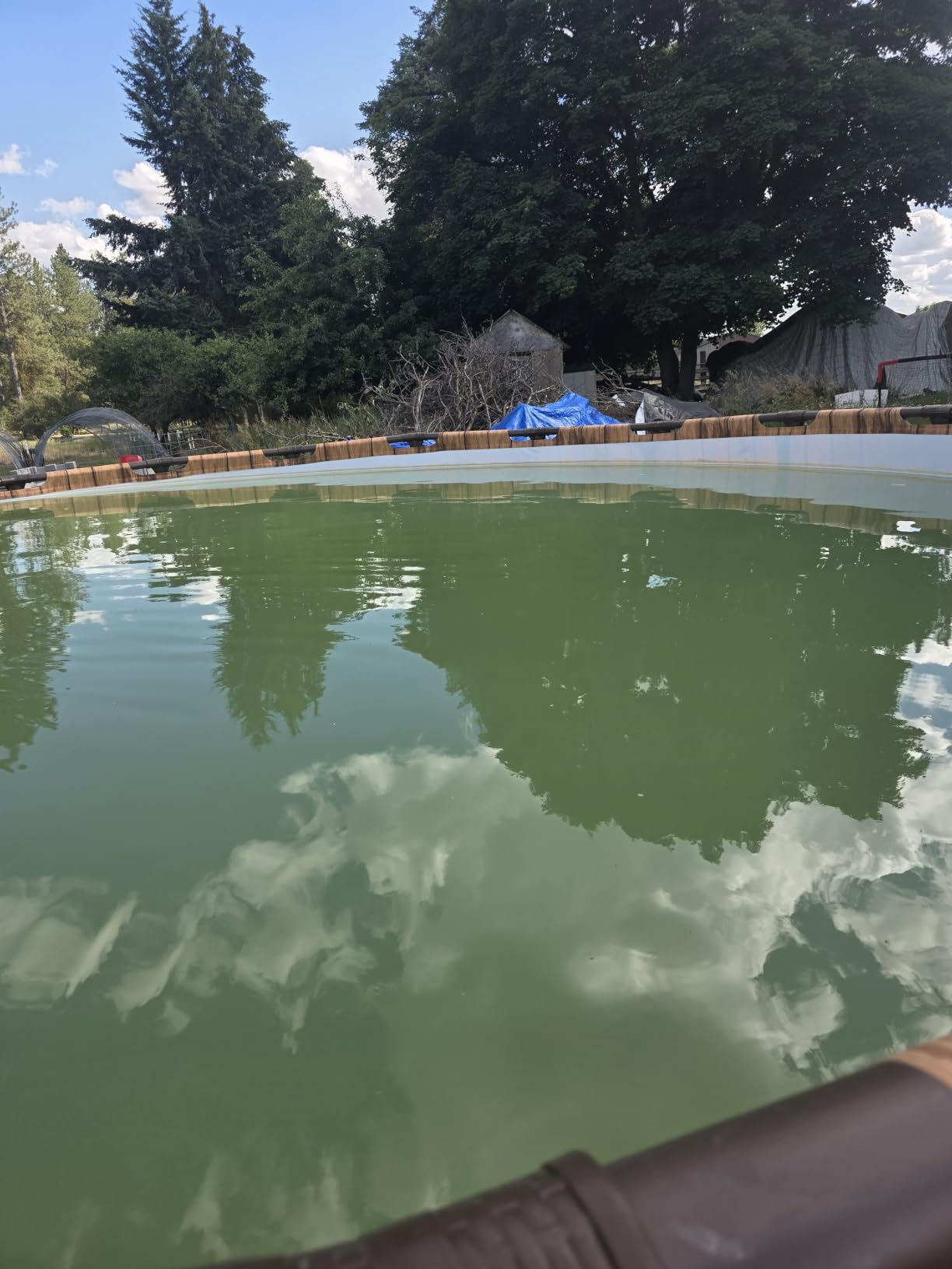 INTEX 2,800 GPH Krystal Clear Sand Filter Pump for Above Ground Pools, Swimming Pool Pump with Automatic Timer customer photo 1