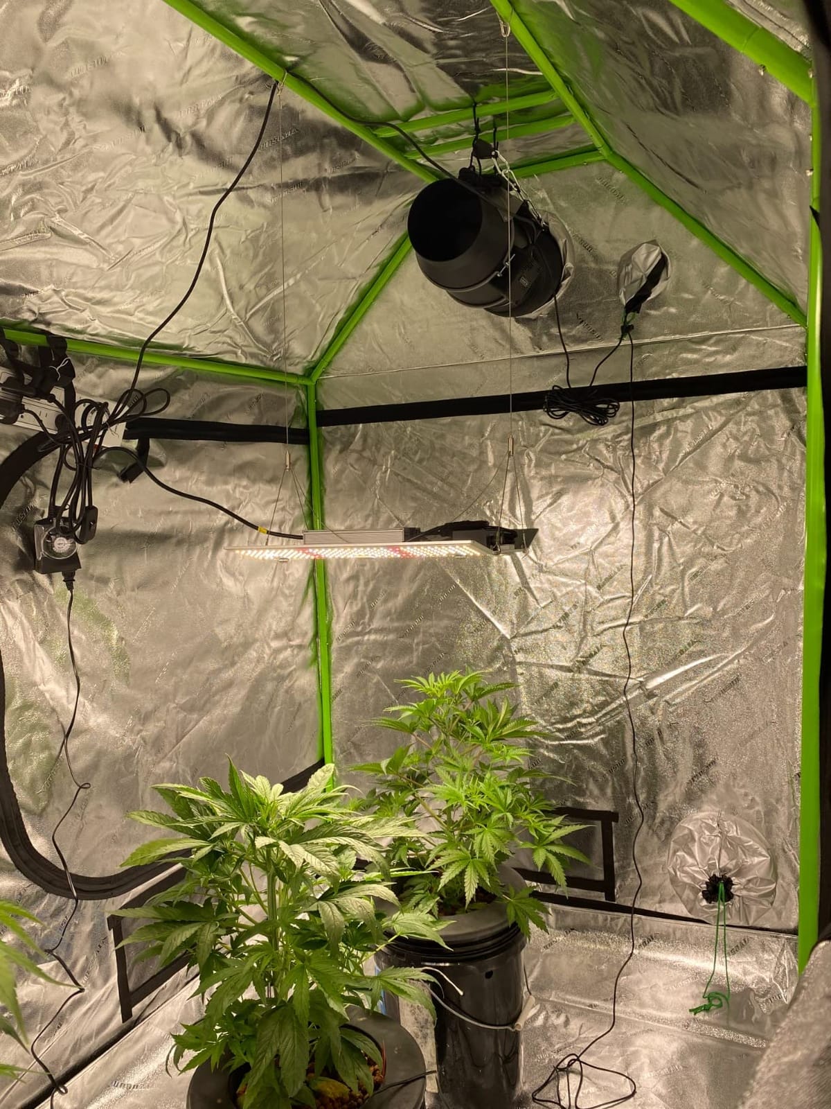 VIVOSUN S108 10x10 Extra Large Grow Tent 120