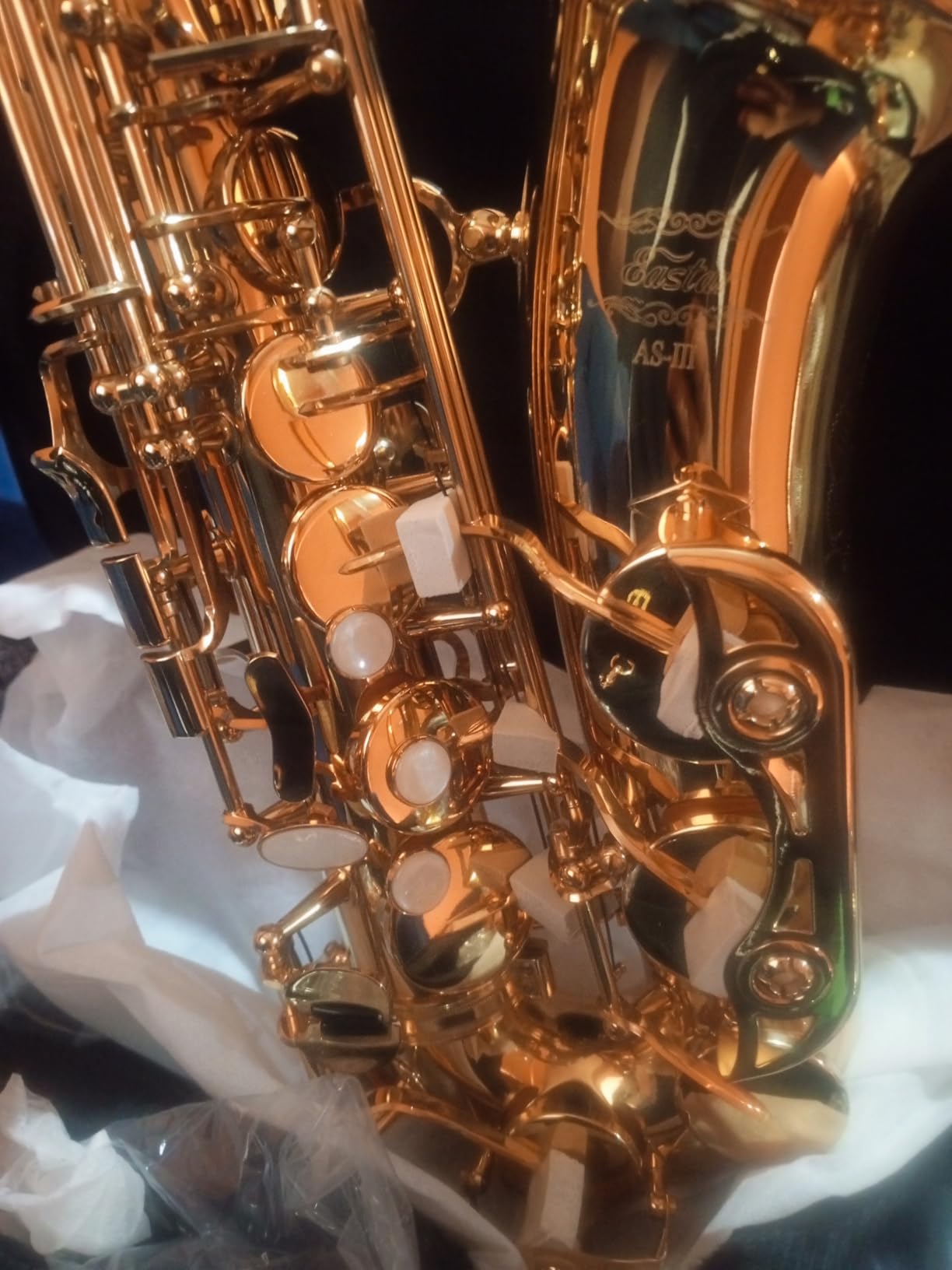 Eastar Alto Saxophone Beginner Student Eb Sax, Golden Full Kit, AS-II customer photo 1