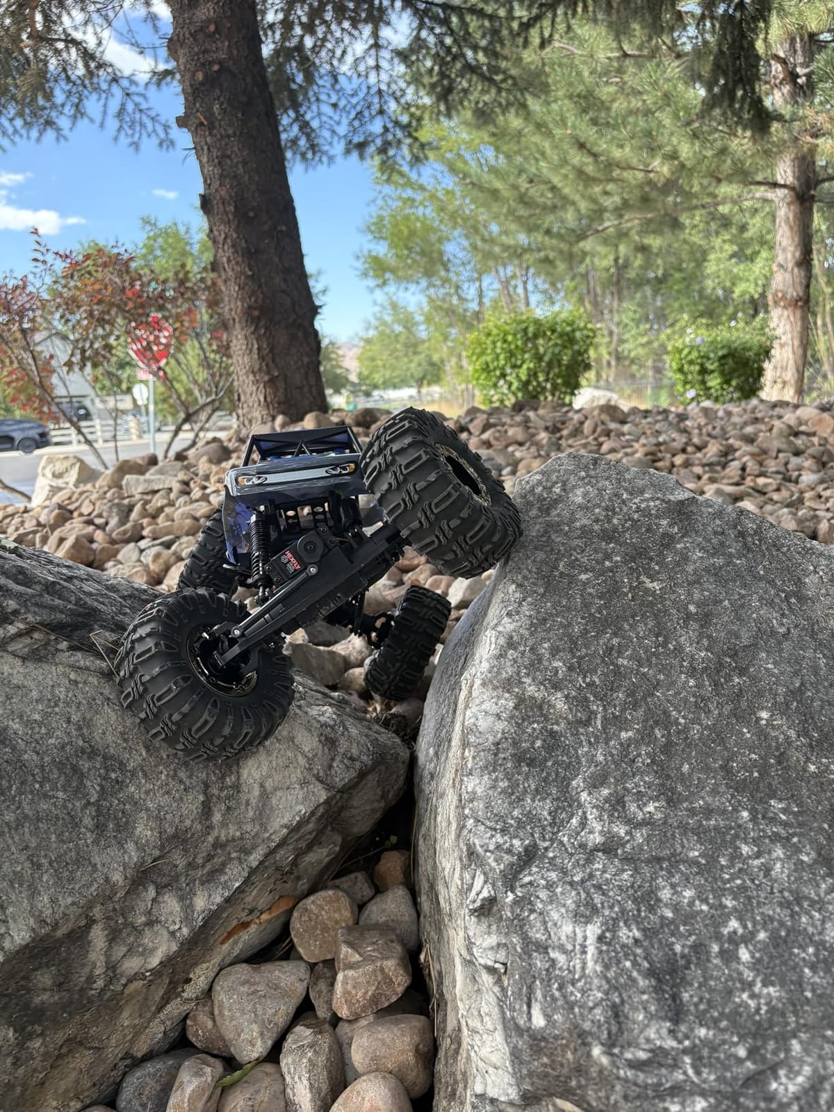 Redcat Racing Danchee Ridgerock 1/10 Scale 4WD Electric RC Rock Crawler – RC Truck RTR with 2.4GHz Radio, Dual Motors, 4-Wheel Steering, USB Charger with RC Crawler Li-ion Battery customer photo 2