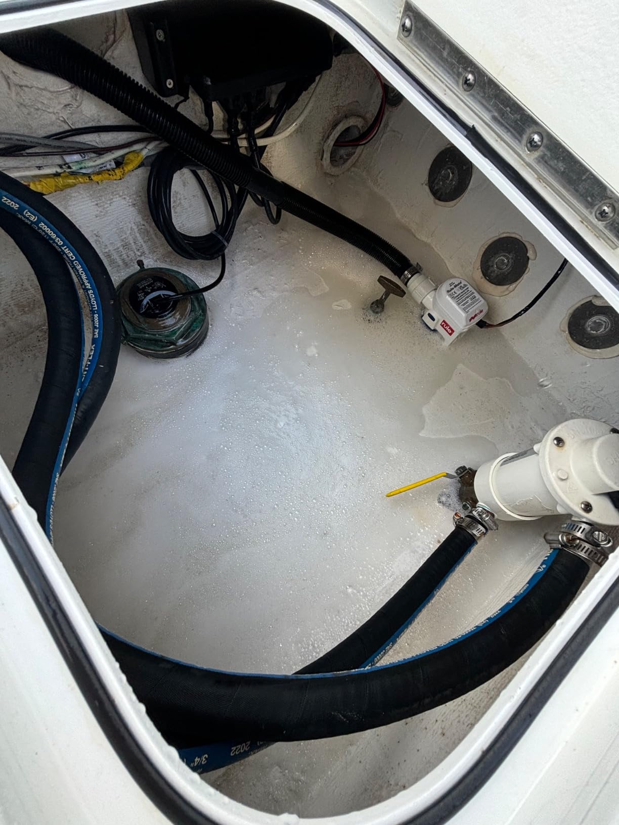 Rule RM1100B, Auto Submersible Bilge Pumps 12V 1100 GPH AutoSense | Thermal Cut-Off & Backflow Prevention - Compact Design for Boats - Easy Install Threaded Discharge customer photo 1