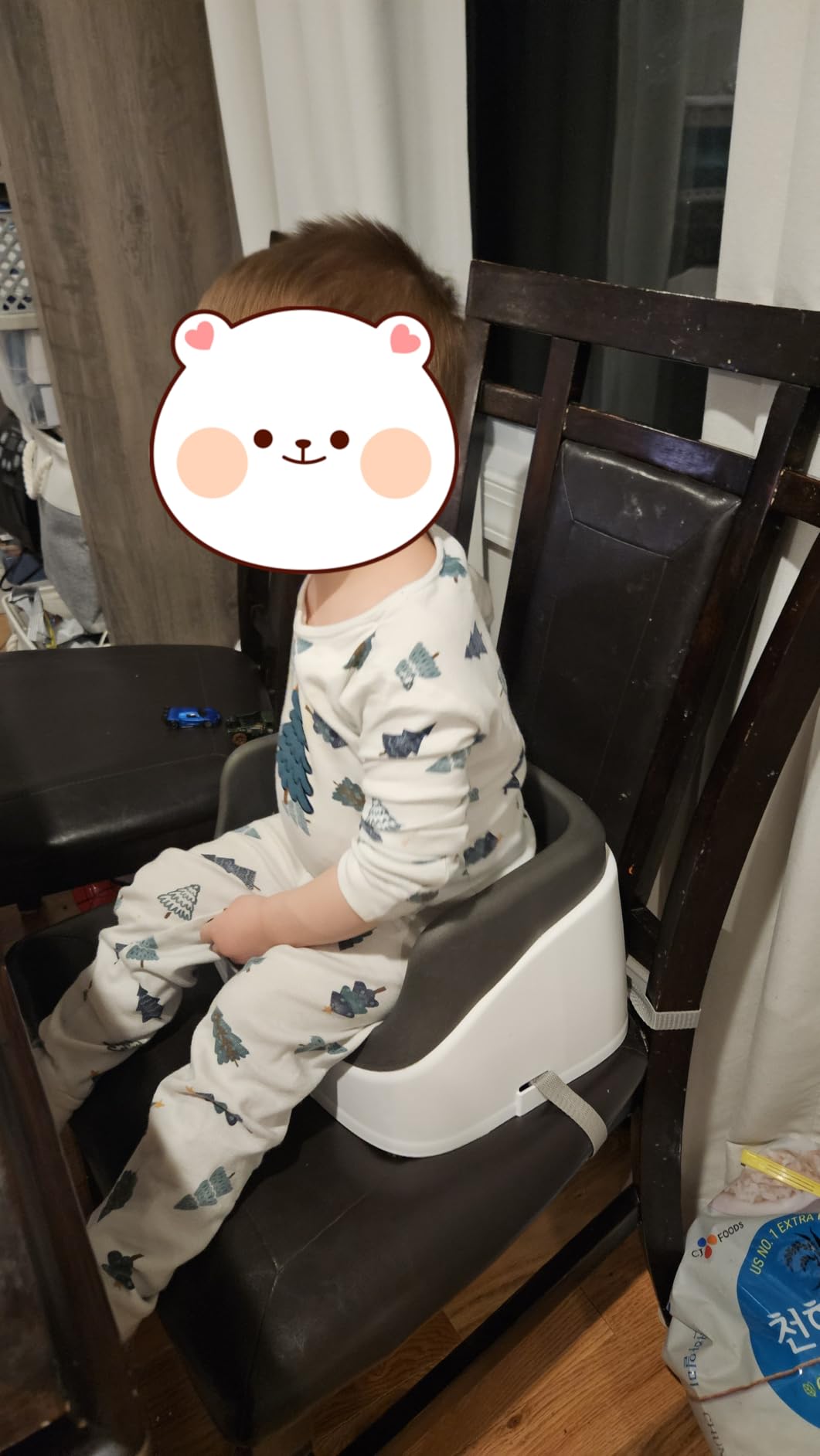 Ingenuity SmartClean Toddler Booster Seat for Kitchen Chair - Lightweight for on-the-go, Easy-Clean, 3-Point Harness Strap - Booster Seat for Dining Table, Slate customer photo 1