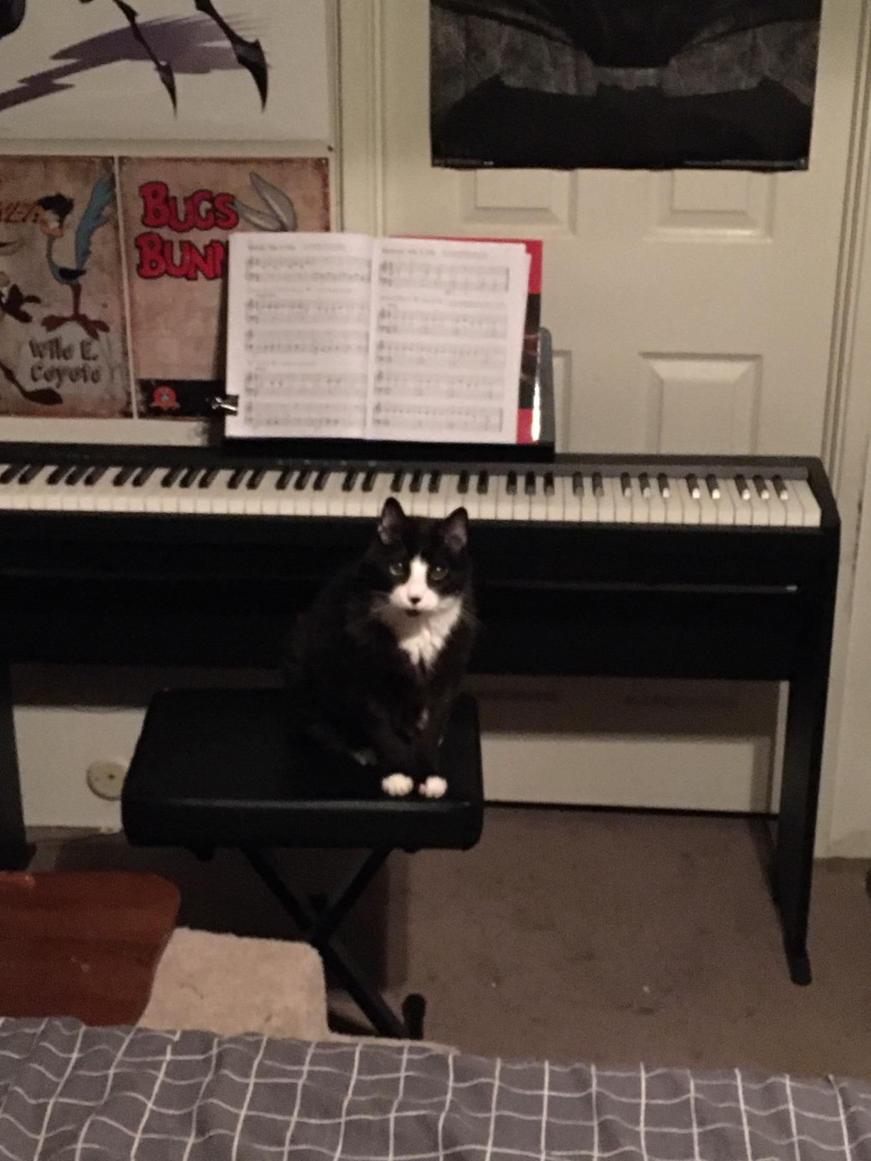 Roland FP-10 88-Note Digital Piano with SuperNATURAL Piano Tones, PHA-4 Keyboard, Bluetooth & MIDI Connectivity customer photo 2