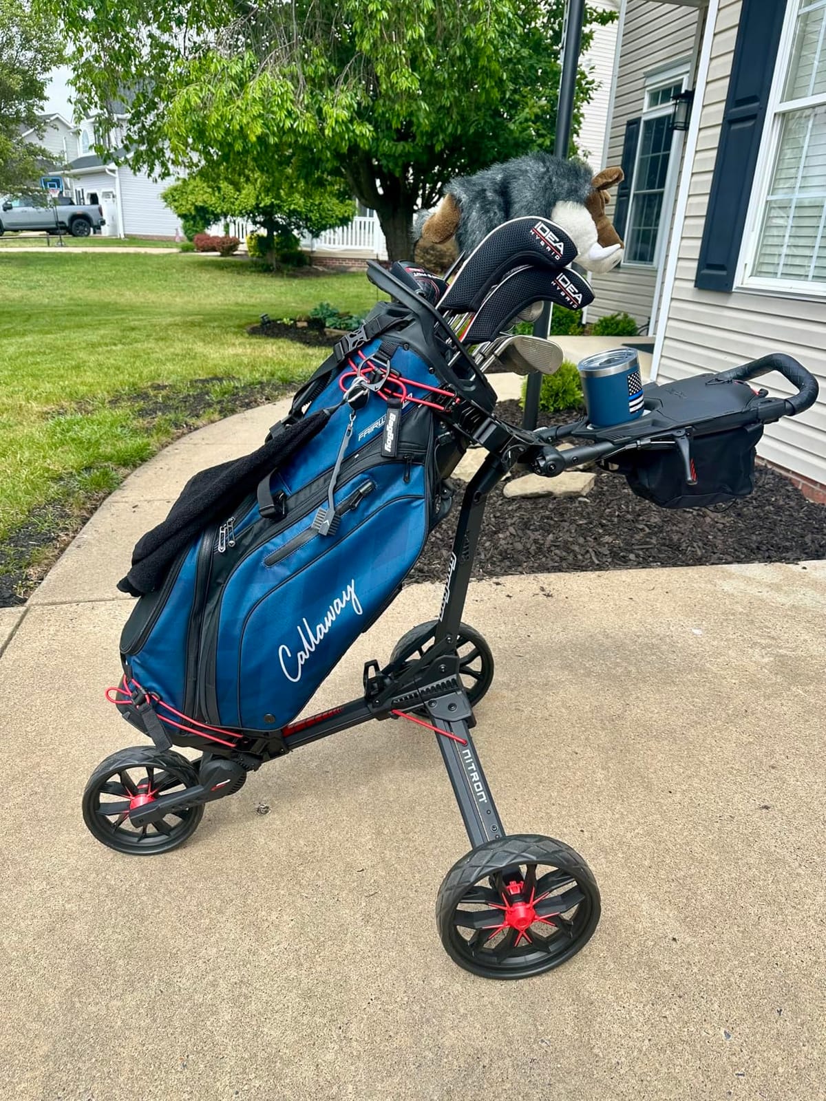 Bag Boy Nitron Golf Push Cart (Prior Generation) customer photo 2