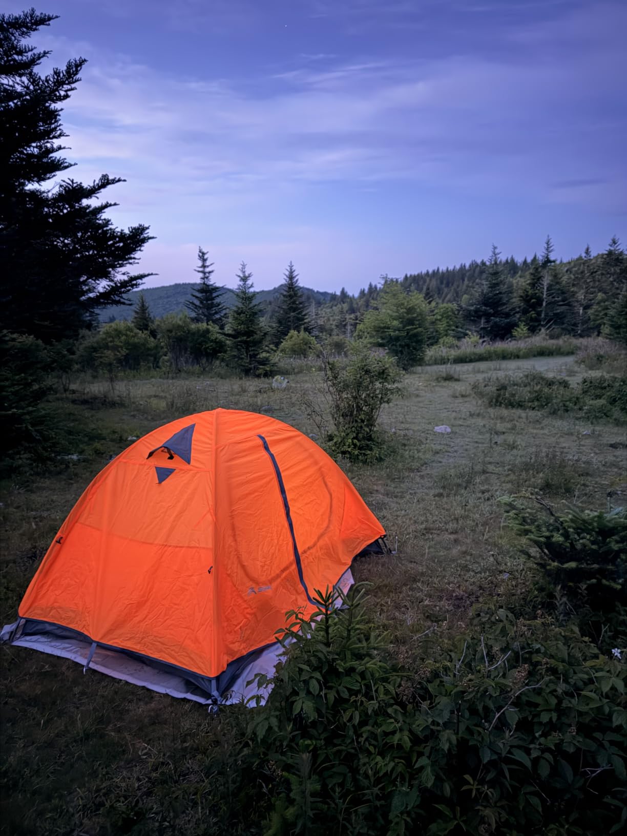 BISINNA 2/4 Person Camping Tent Lightweight Waterproof Backpacking Tent customer photo 2