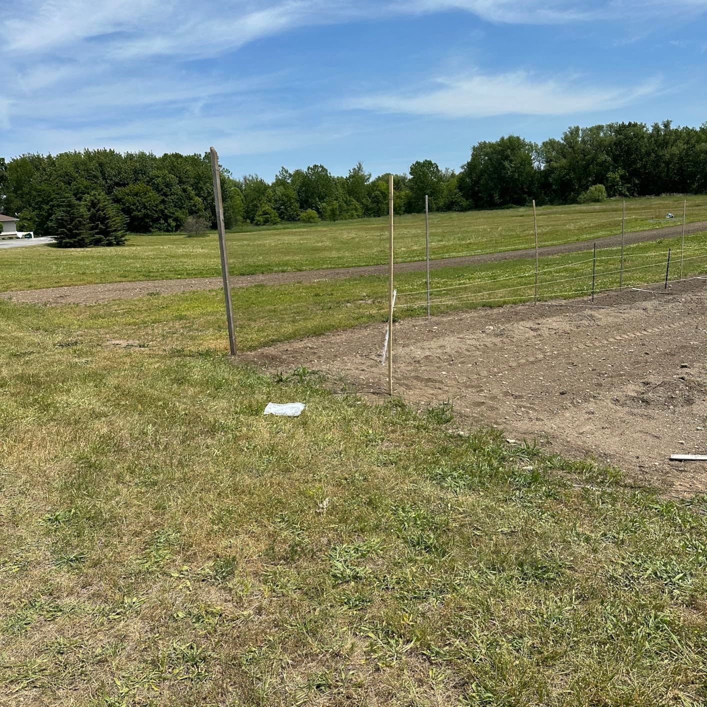 Feitore Deer Fence Netting, 7x100ft Garden Net Bird Netting,Reinforced Edge customer photo 1