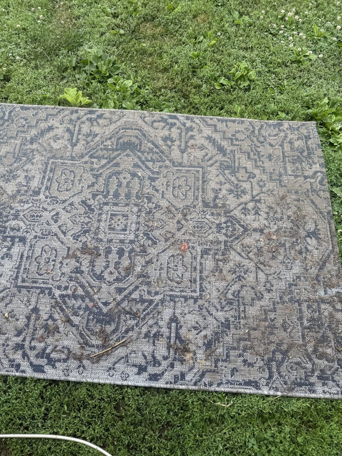 JONATHAN Y Boho Medallion Indoor Outdoor Area Rug 8X10 Black/Gray, Estrella Textured Weave for Backyard, Patio, Porch, Easy-Cleaning, High Traffic, Pet-Friendly, Non-Shedding (SMB105D-8) customer photo 2