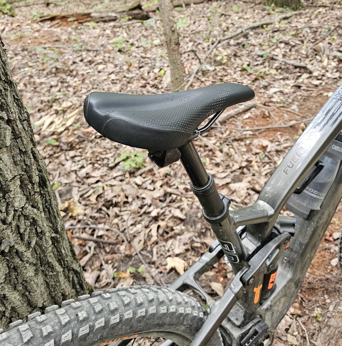 WTB Koda Mountain Bike Seat (Saddle) - Gravel, Trail & Bikepacking (Medium/Wide, 3 Rail Options) customer photo 2