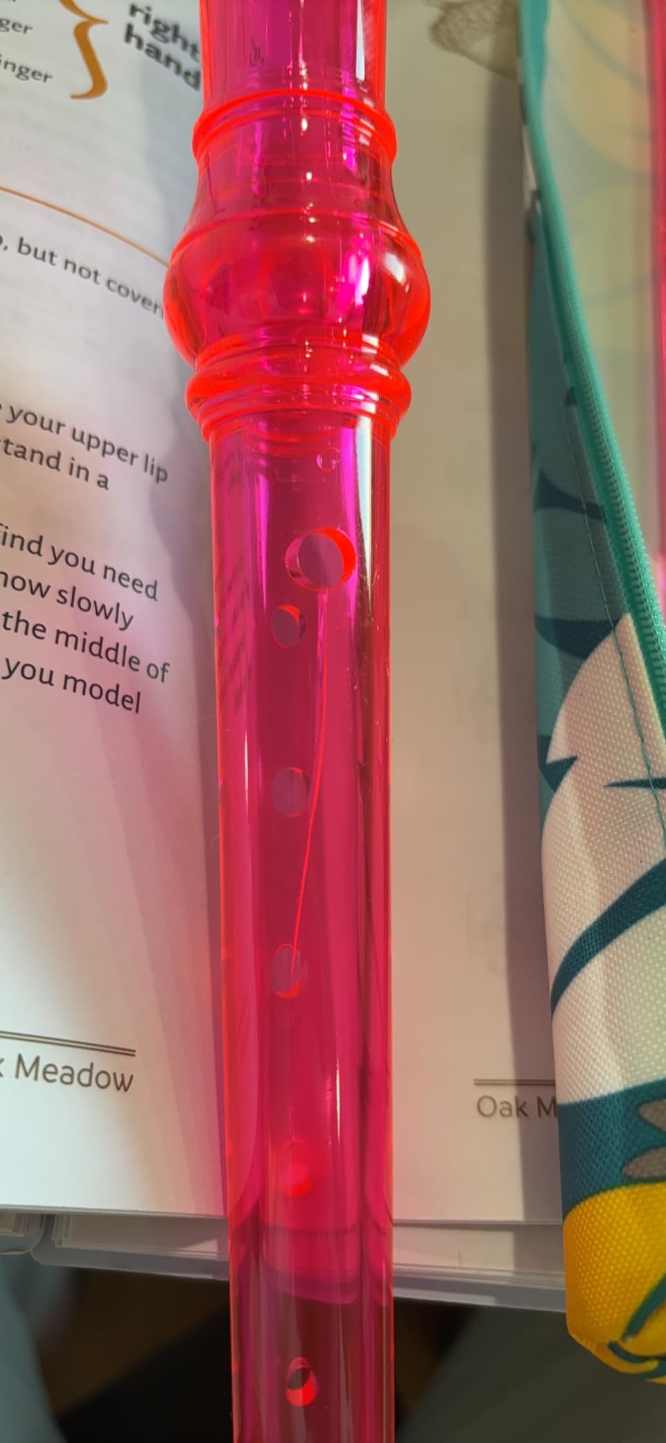 Descant Soprano Recorder Music Recorder Instrument for Kids Flute Kids Recorder with Cleaning Rod + Case Bag customer photo 2