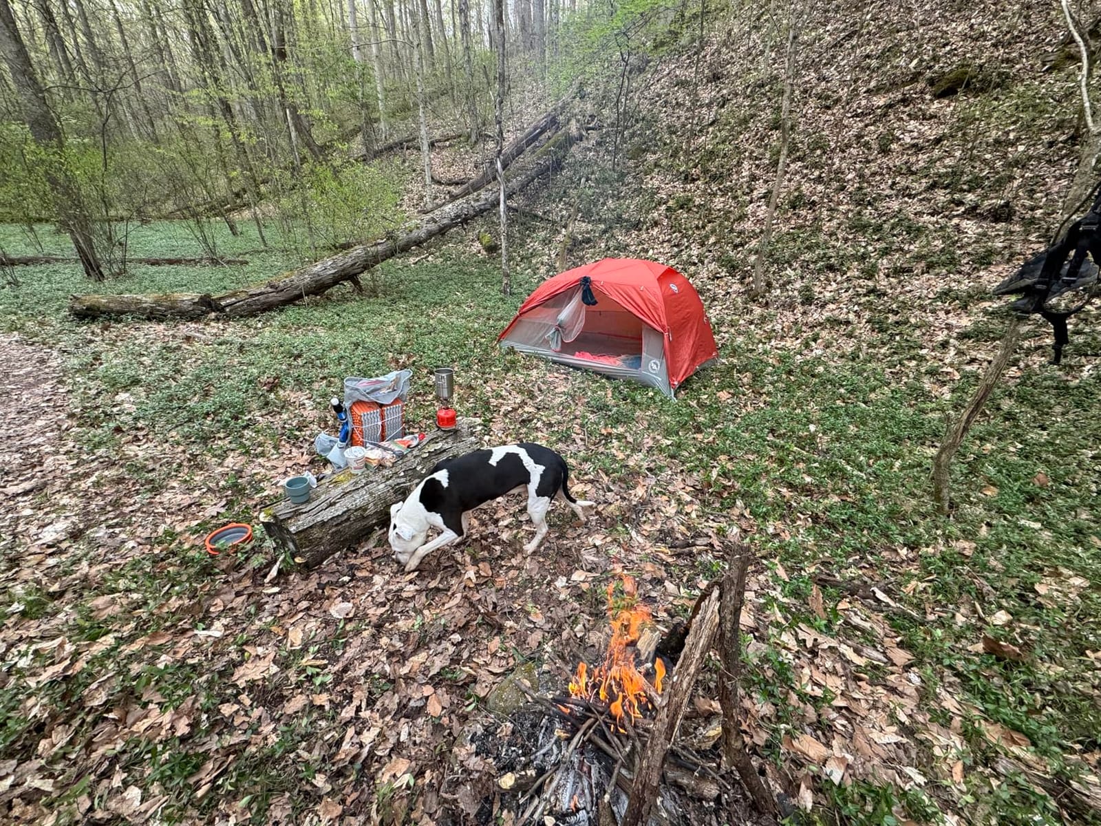 Big Agnes Copper Spur HighVolume Ultralight Backpacking and Camping Tent | Ultralight high-volume design with awning vestibules, TipLok setup, and spacious storage for camping customer photo 2