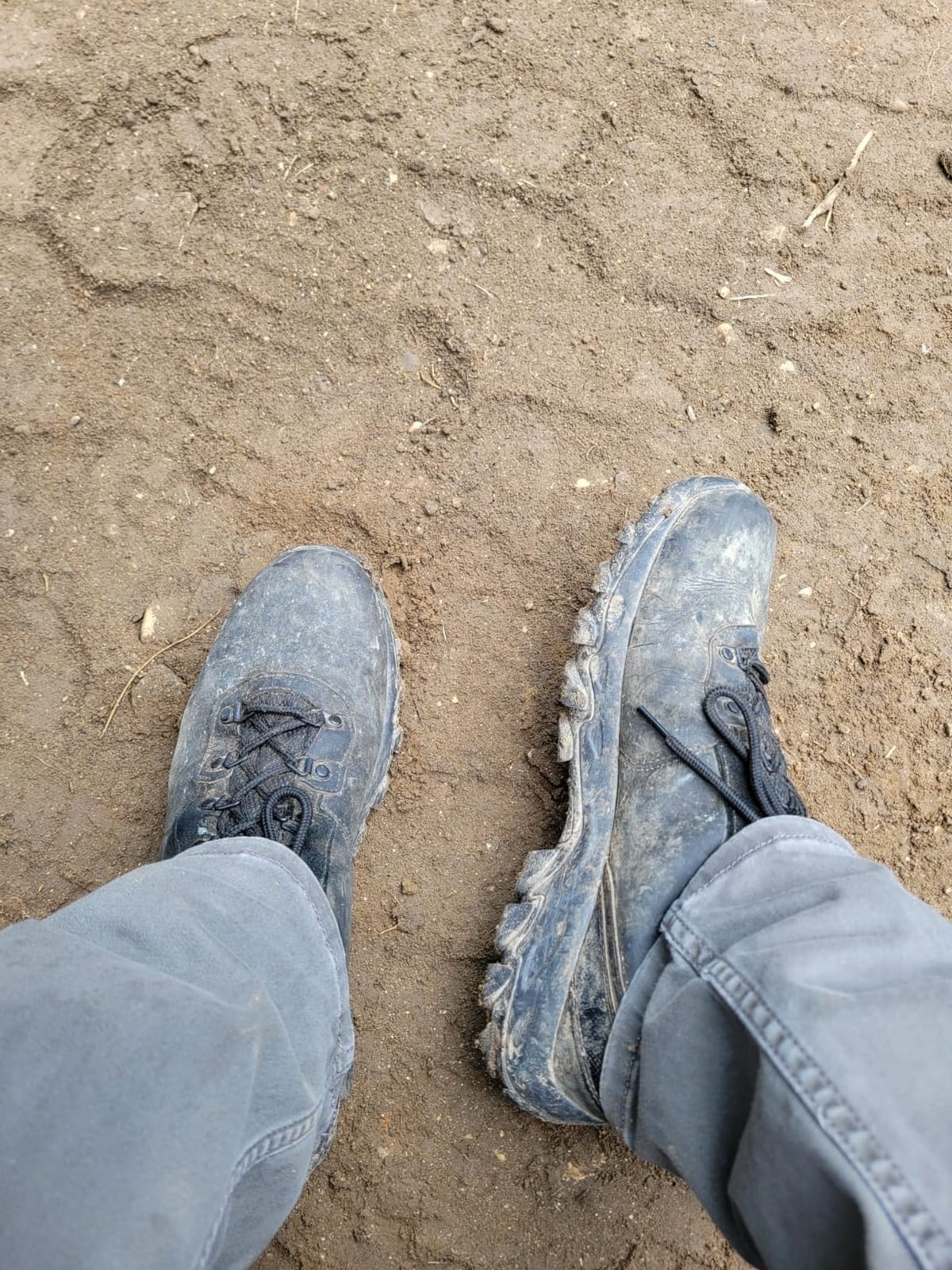 Columbia Men's Newton Ridge Plus II Waterproof Hiking Boot customer photo 1