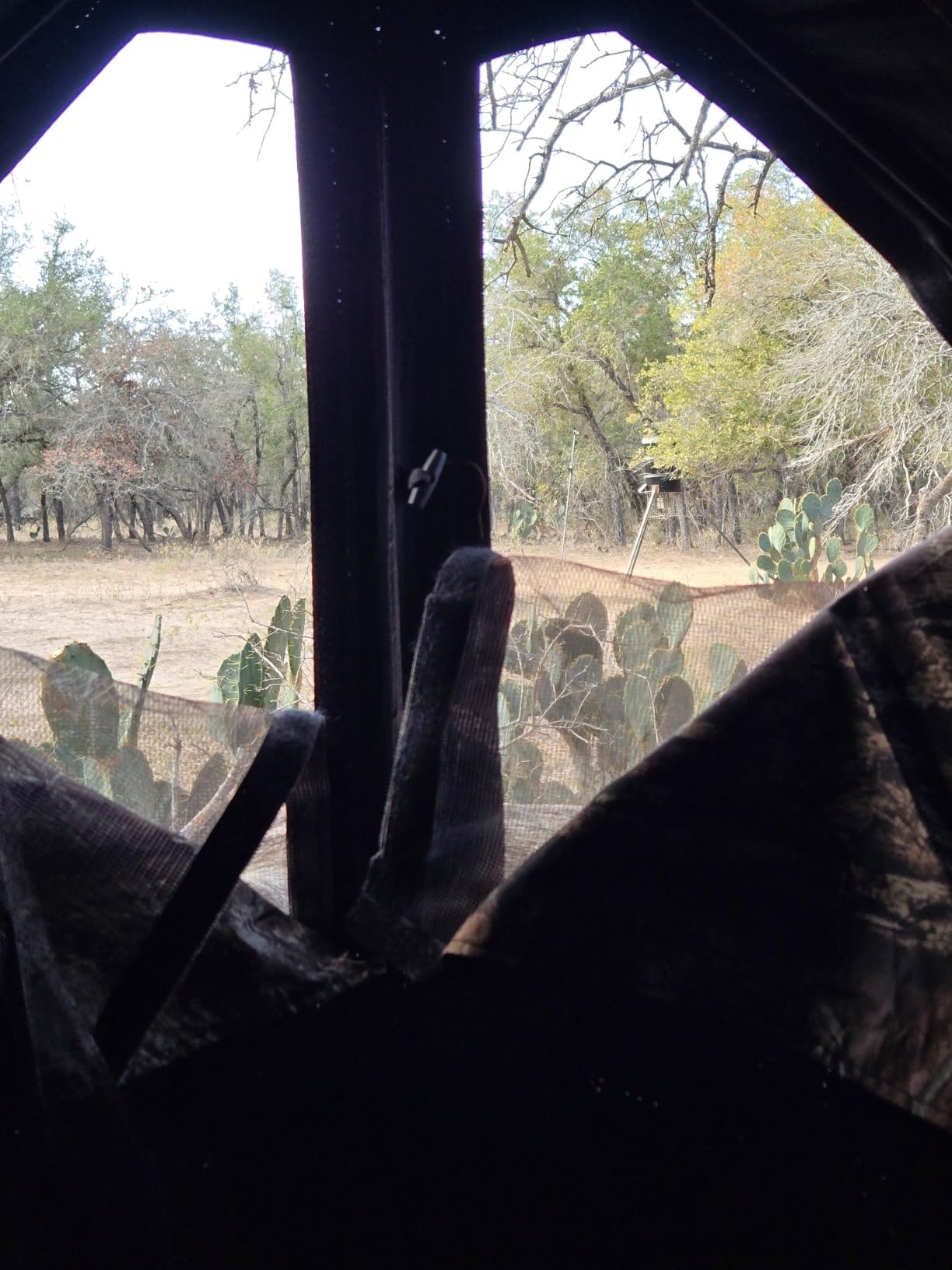 Ameristep Care Taker Ground Blind, Mossy Oak Break Up Country, Model: None customer photo 2