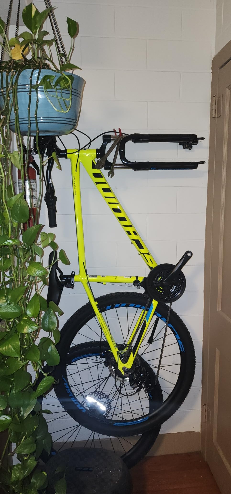 Schwinn High Timber Mountain Bike for Adult Youth Men Women Boys Girls, 24 to 29-Inch Wheels, 7 or 21-Speeds, Front Suspension, Aluminum and Steel Frame Options customer photo 1