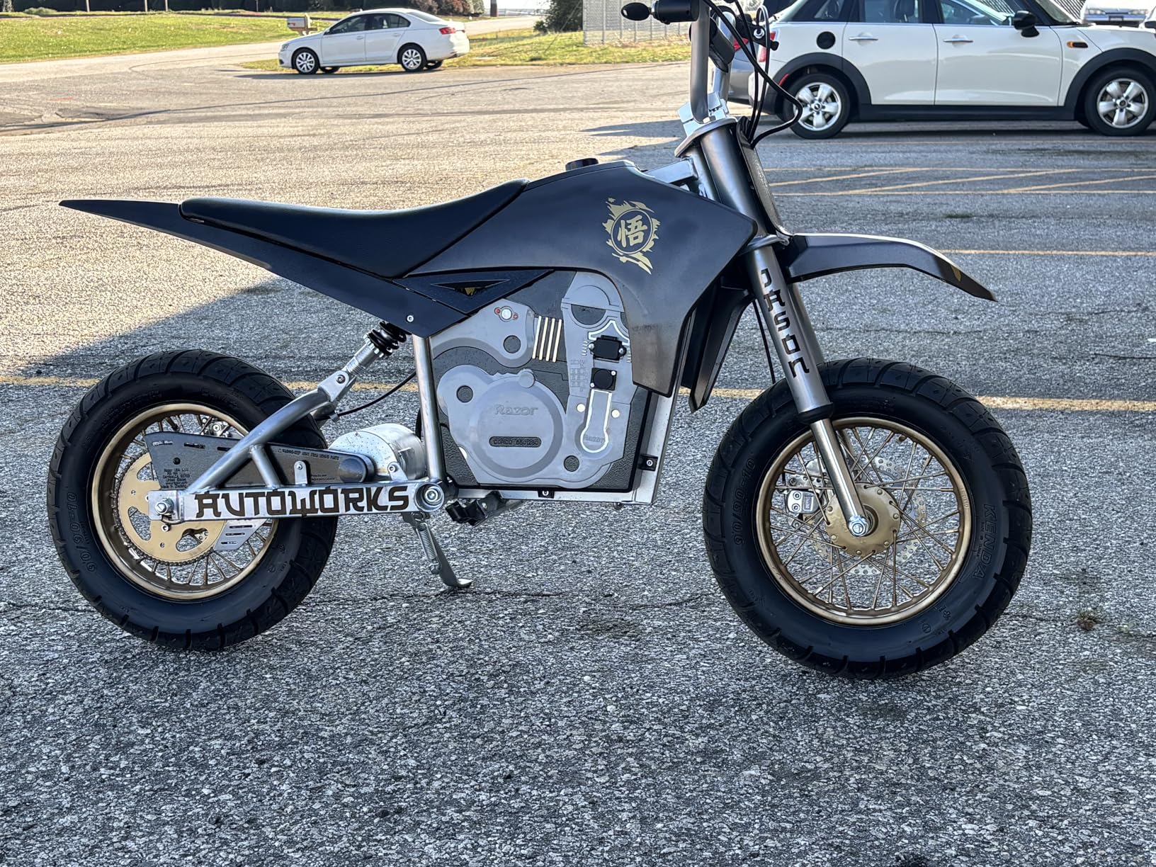 Razor Dirt Rocket SX500 McGrath Electric Motocross Bike for Kids Ages 14+, 40 mins of Ride Time, For Riders up to 175 lbs customer photo 1
