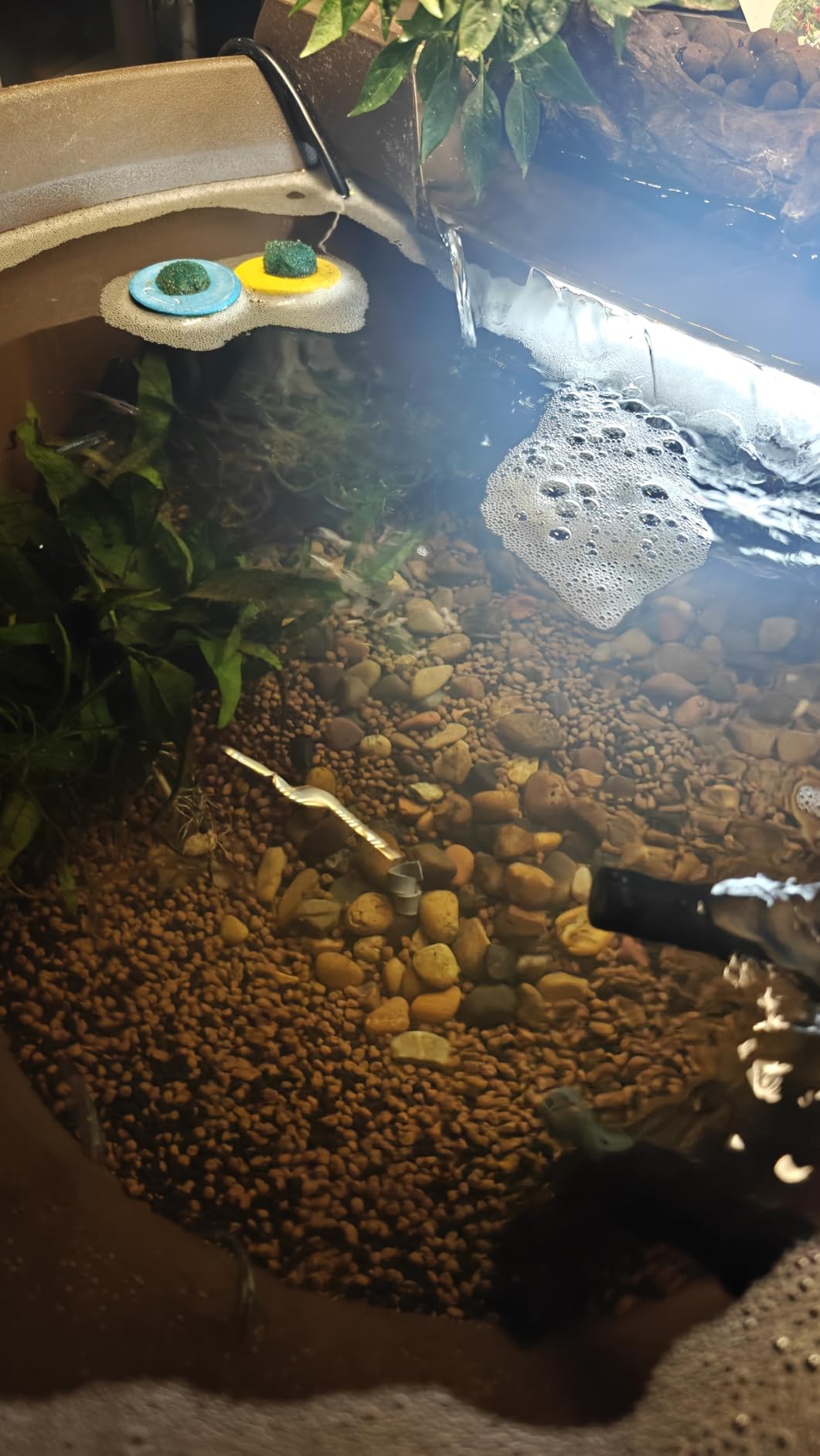 Aquascape AquaGarden Pond Kit, Container Water Garden | 78325 customer photo 2