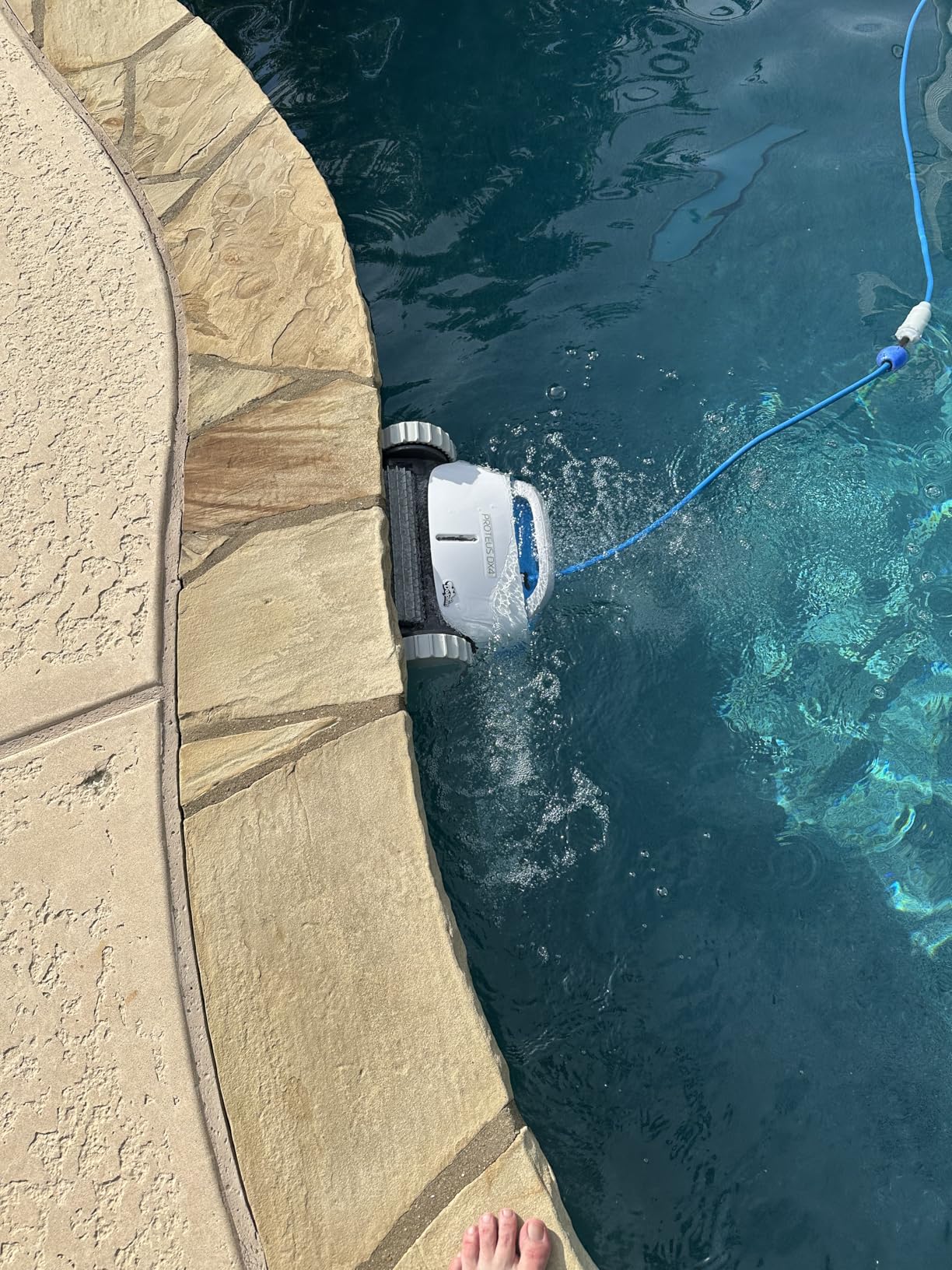 Dolphin Proteus DX4 Plus Automatic Robotic Pool Cleaner Ideal for Pools up to 33 FT, Wall & Sun-ledge Scrubbing, Top-Load Filter, Smart Navigation customer photo 1