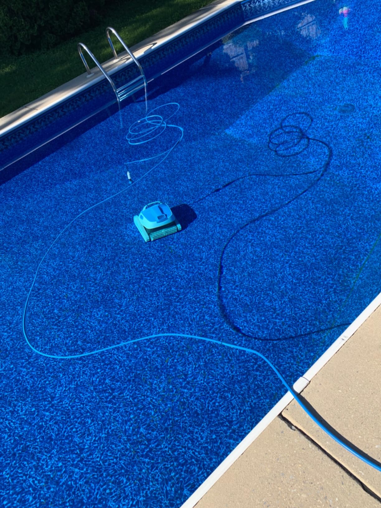 Dolphin Proteus DX4 Plus Automatic Robotic Pool Cleaner Ideal for Pools up to 33 FT, Wall & Sun-ledge Scrubbing, Top-Load Filter, Smart Navigation customer photo 2