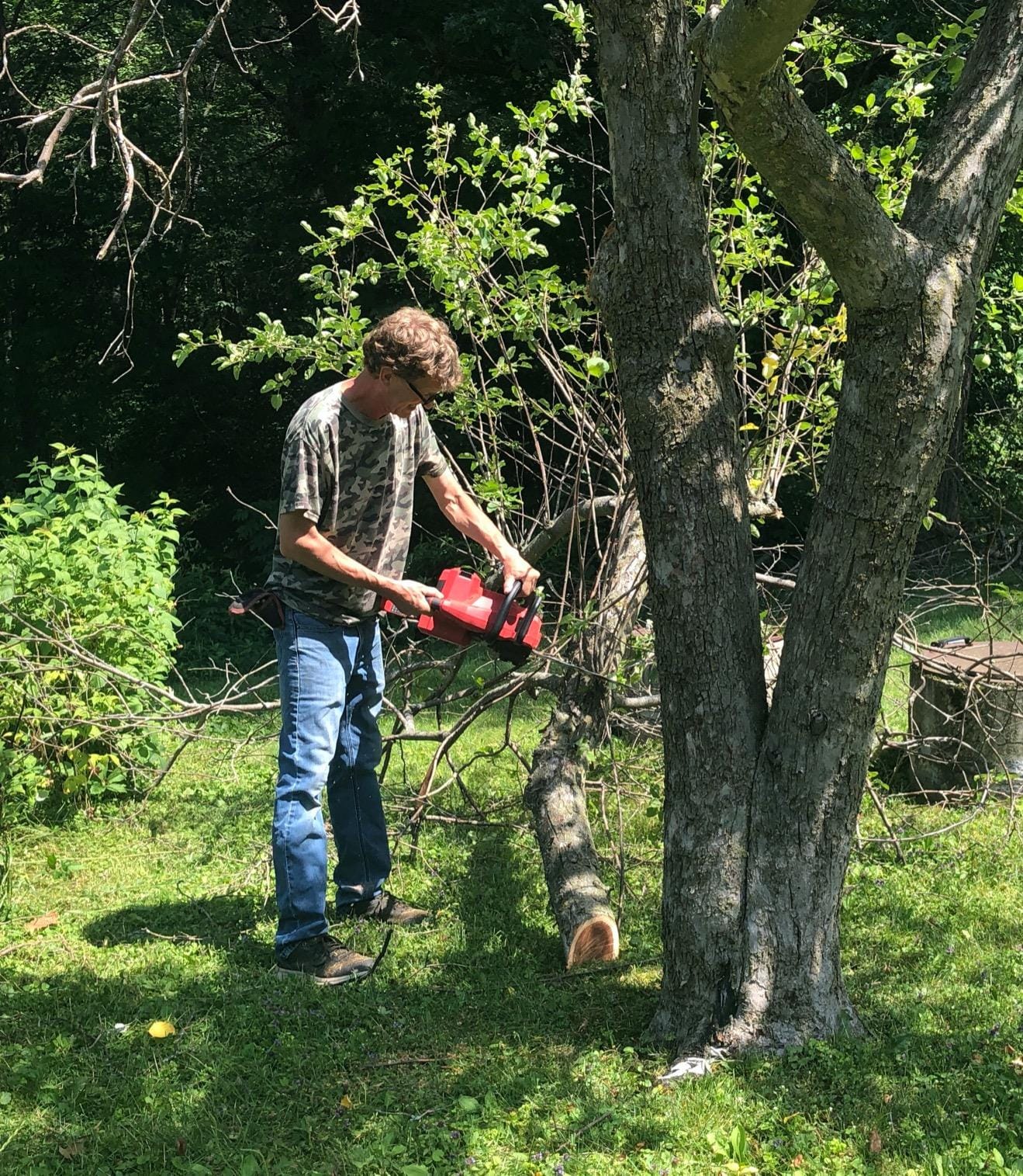 SKIL PWR CORE 40 Brushless 40V 14” Lightweight Chainsaw Kit with Tool-free Chain Tension & Auto Lubrication, Includes 2.5Ah Battery and Auto PWR Jump Charger - CS4555-10 customer photo 2