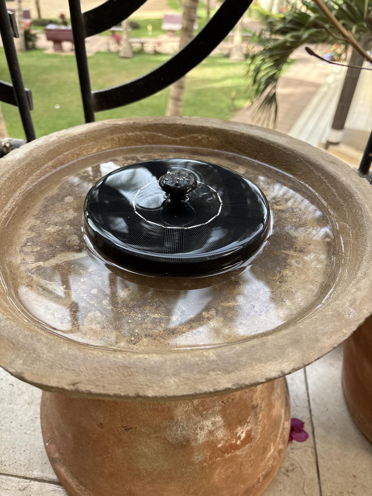 Solar Fountain Water Pump for Bird Bath, New Upgraded Mini Solar Powered Fountain Pump 1.5W Free Standing Solar Panel Kit Water Fountain for Garden, Pond, Pool, and Outdoor customer photo 2