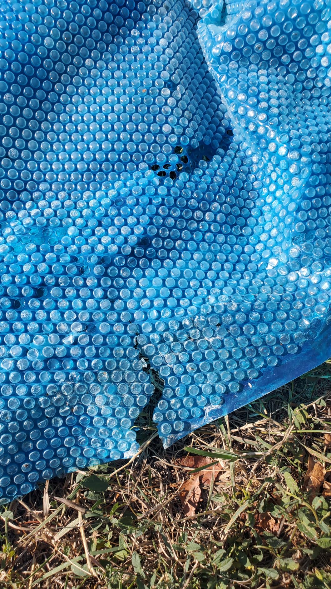 Doheny's Clear-Tek Micro Bubble Solar Pool Cover for Above Ground Swimming Pools | Increase Solar Energy Absorption, Retain Heat, Reduce Evaporation, Reduce Heat Loss & Save, 24 ft Round Blue 1600 customer photo 2