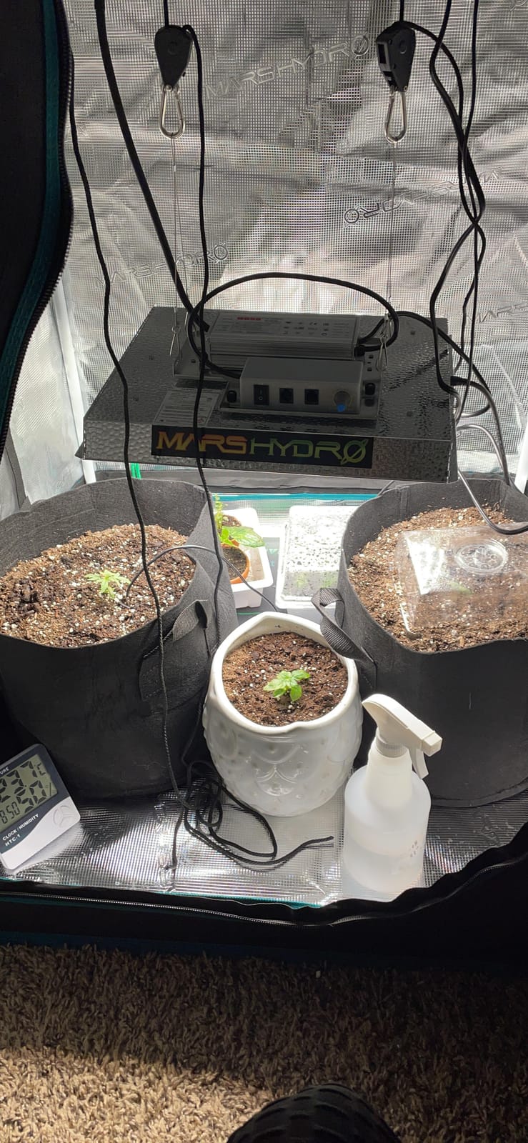 MARS HYDRO 3x3 Smart Grow Tent Kit with TS1000 with iControl Controller | 150W Full Spectrum Grow Light 4