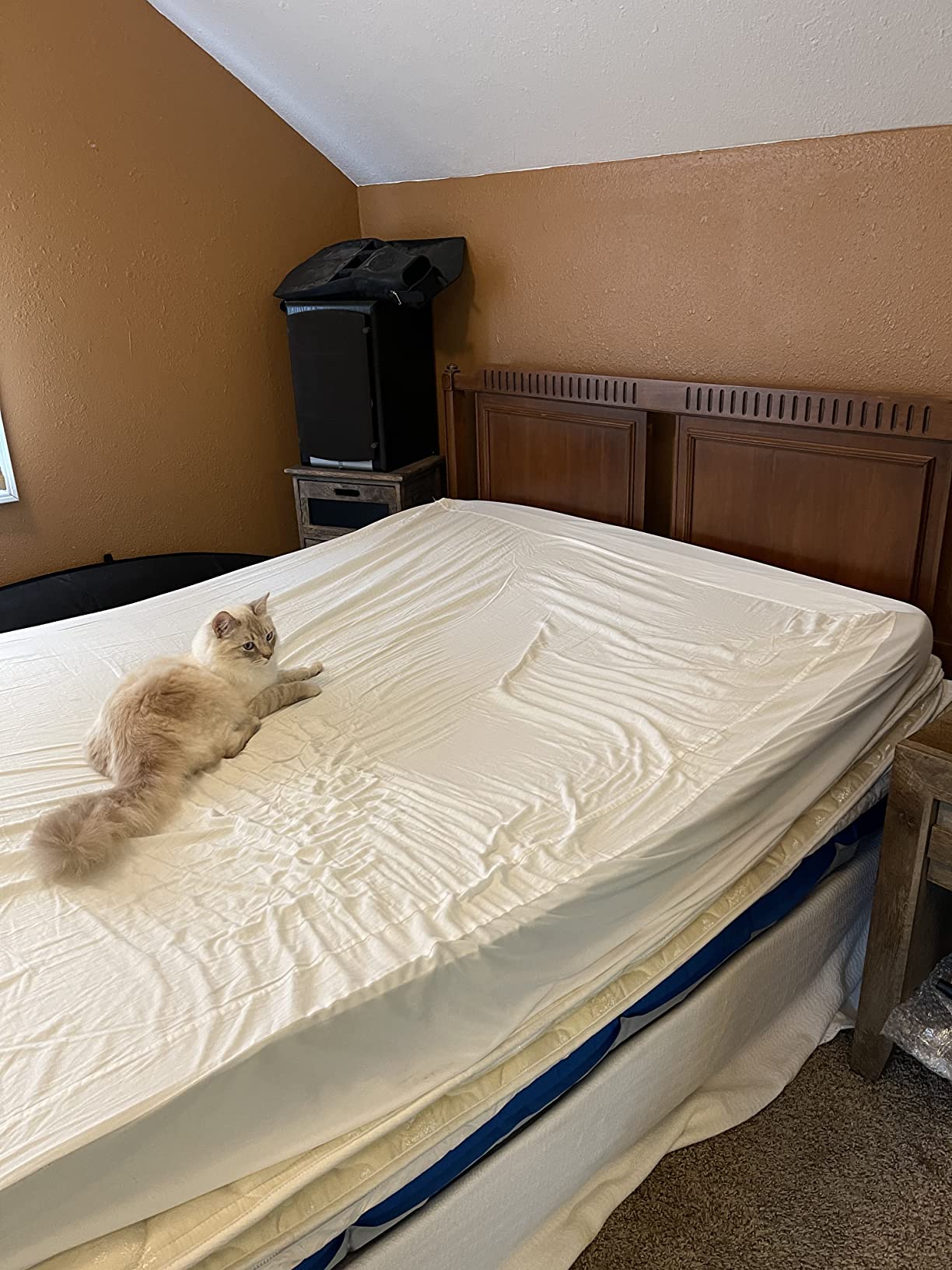 Sierra Designs Queen & Single Camping Air Bed Mattress for Car Camping, Travel, and Camp (Pump Included) customer photo 1