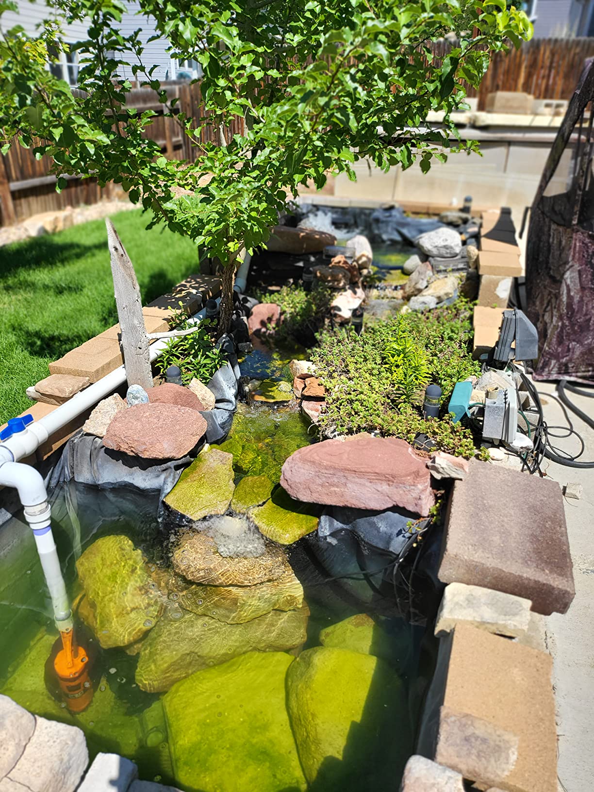 Prostormer 1HP 3700GPH Submersible Sump Pump with Automatic Float Switch | Orange Water Pump, Draining Transfer Clean & Dirty Water, for Pools/Ponds/Gardens/Flooded Cellars/Aquariums/Irrigation customer photo 2