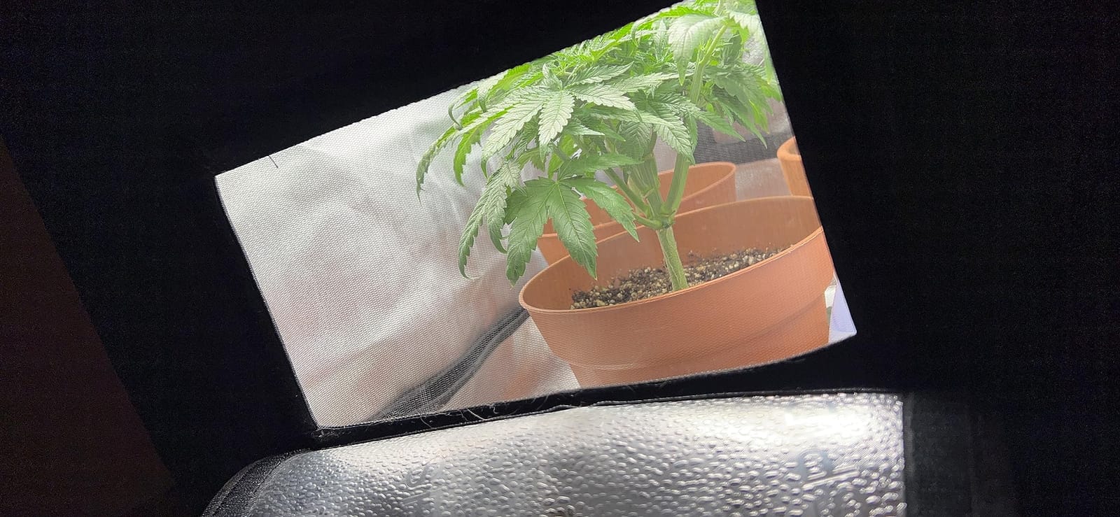 Spider Farmer 2x2ft Grow Tent Kit with GGS Controller Automatic Grow System customer photo 1