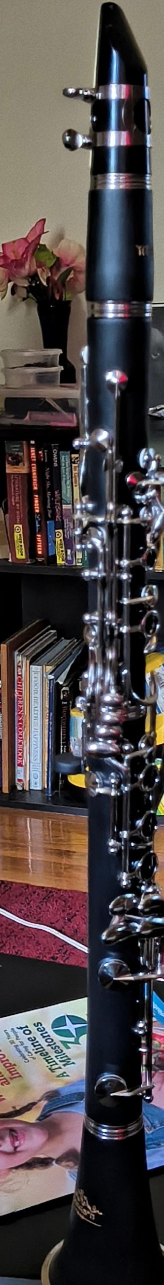 YANASON Bb clarinet for beginners, Bb nickel-plated 17-keys clarinet, suitable for students, professionals, school bands with Hard Foam Case customer photo 1
