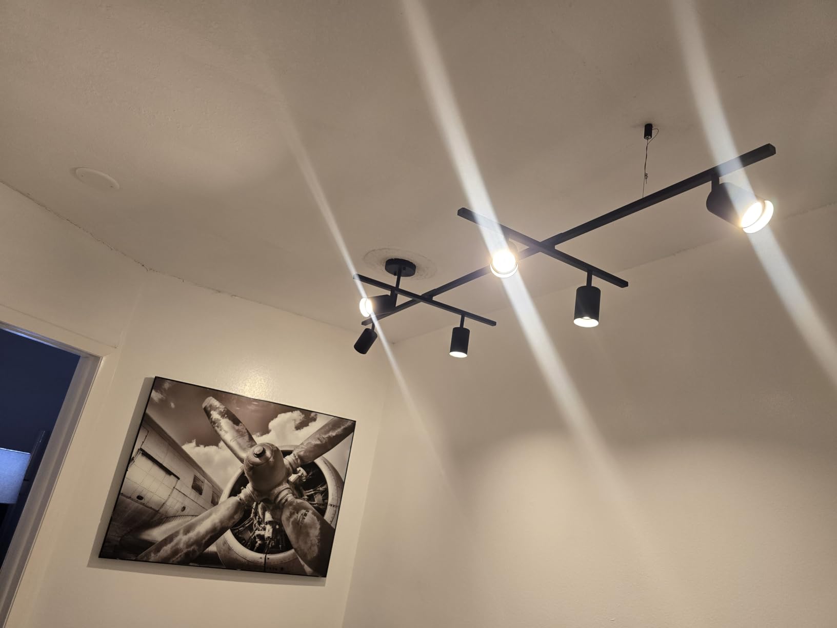 Globe Electric 59829 64