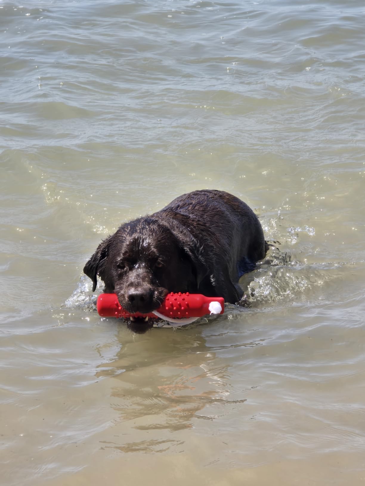 Dog Float Toy, Retriever Training Dummy, Floating Dog Toys for Water Fetch, Lightweight for Float on The Water Pool Fetch Rope, Interactive Pool Toy for Small to Large Dogs customer photo 2
