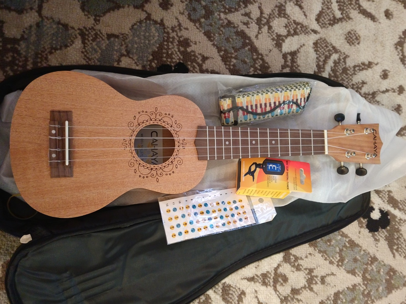 CAHAYA Ukulele Kit Beginner 21