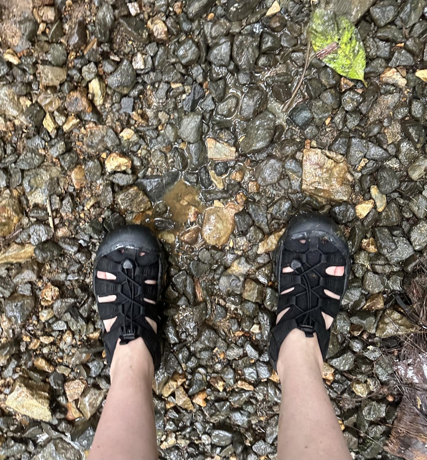 KEEN Women's Newport H2 Closed Toe Water Sandals customer photo 2