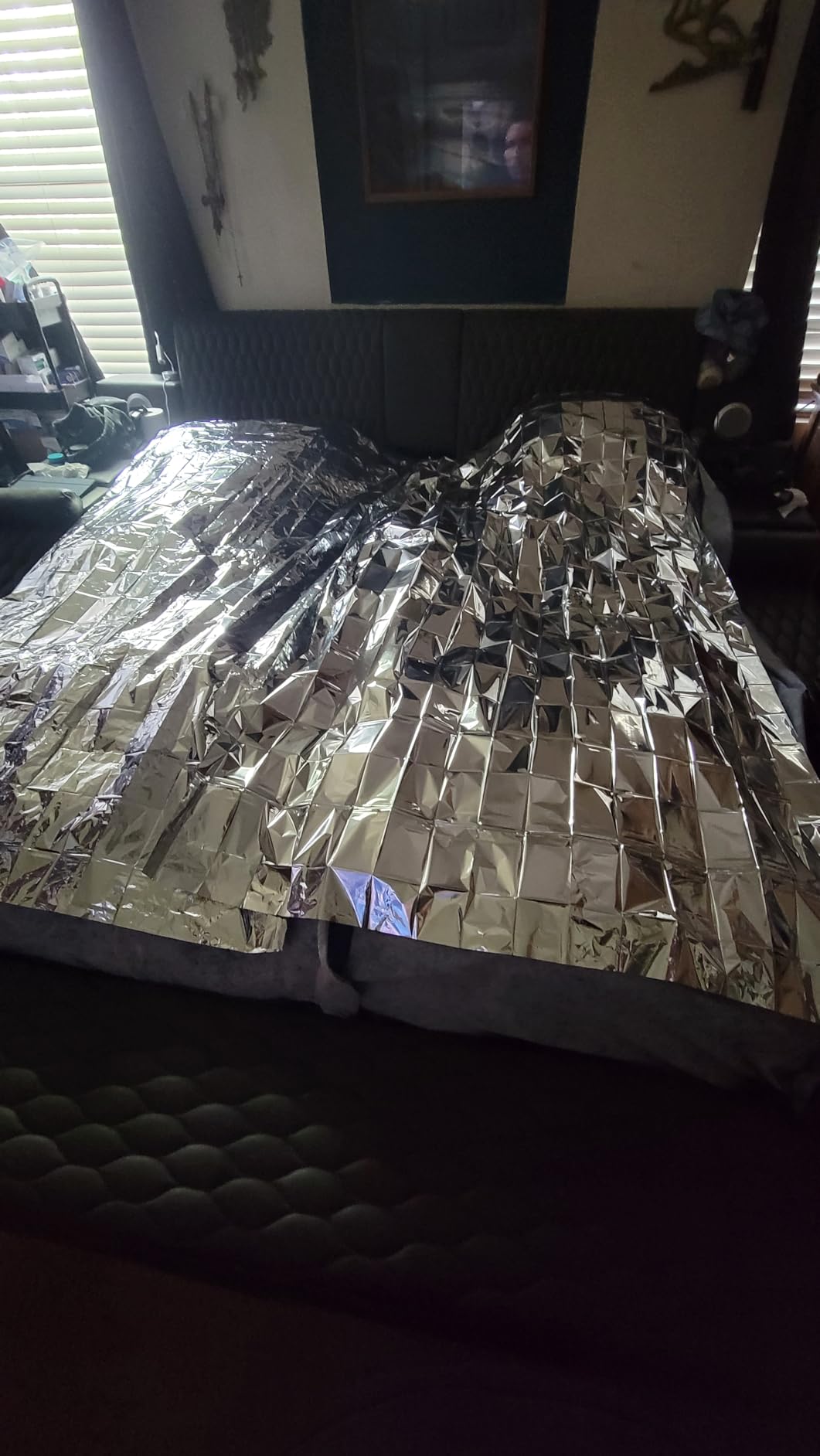 Emergency Blanket Mylar Thermal Space Survival Gear & Supplies 4-Pack Foil customer photo 2