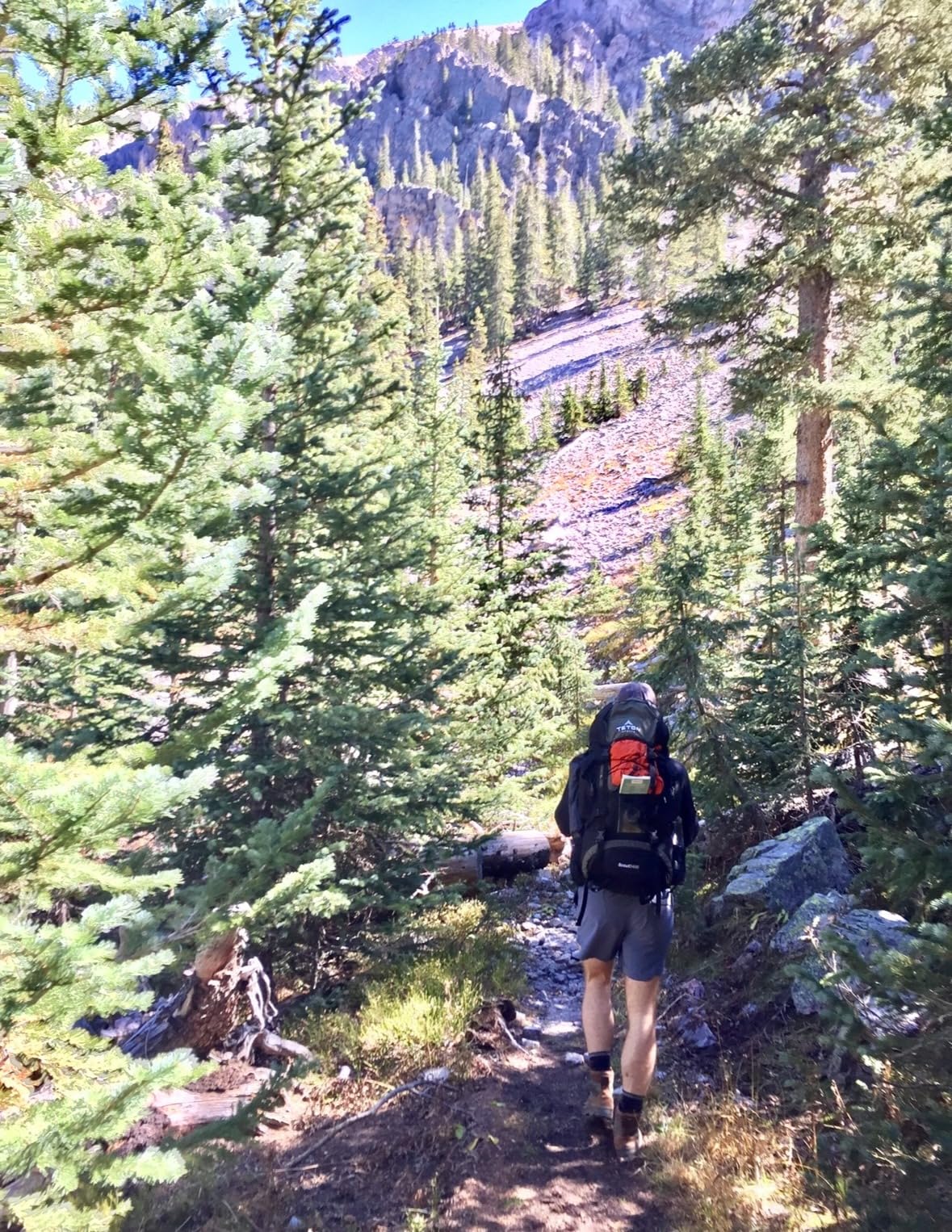 Teton 65L Scout Internal Frame Backpack for Hiking, Camping, Backpacking, Travel, Rain Cover Included, Black customer photo 1