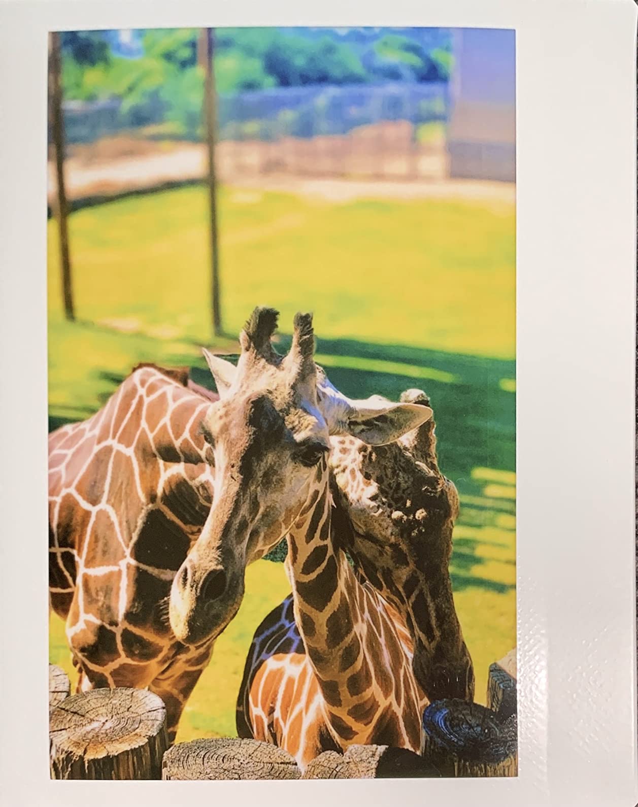 Instax Link Wide Printer - Ash White customer photo 1