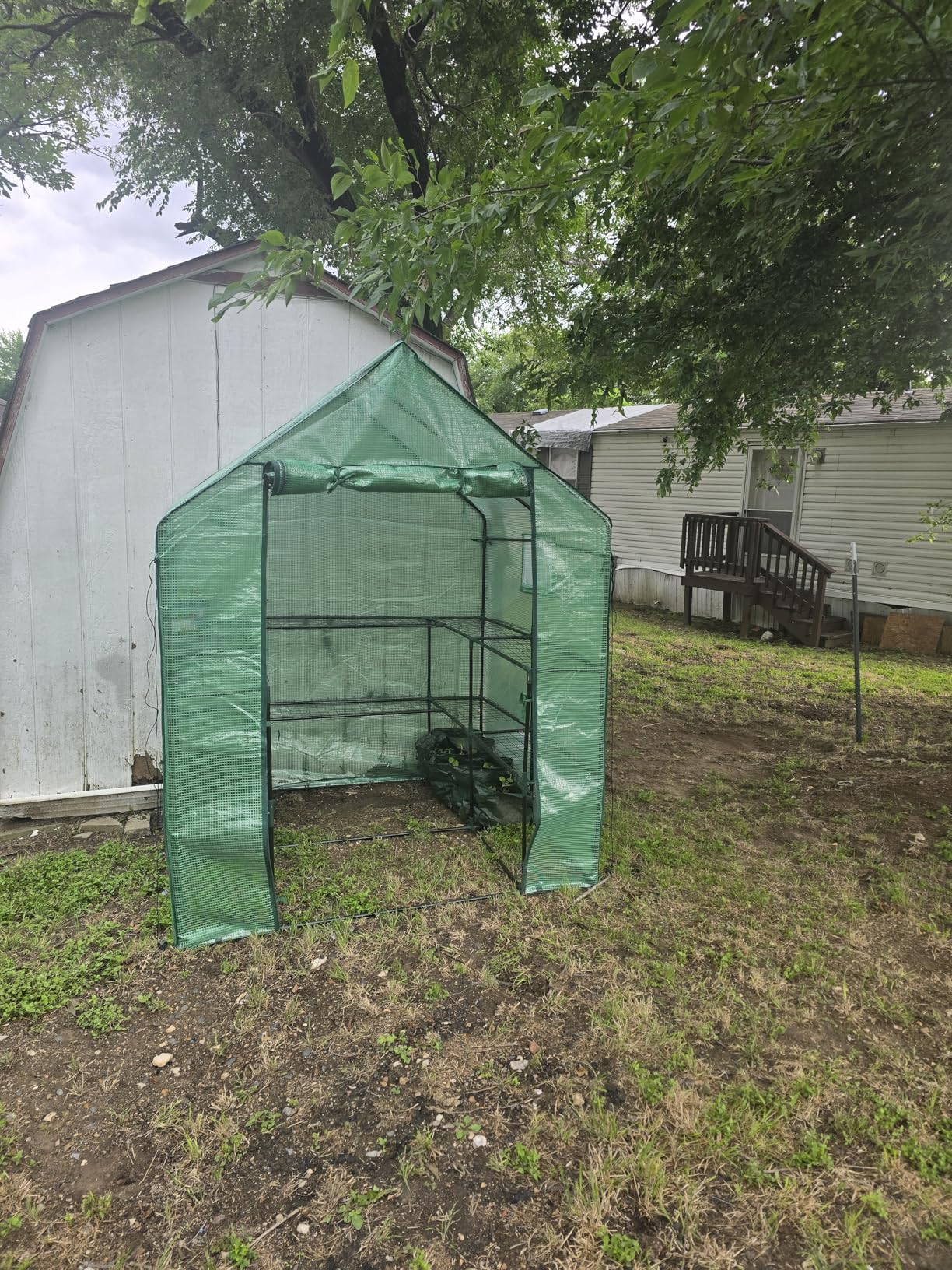 SUNGIFT Walk-in Greenhouse, 57 x 61 x 80 in, 3 Tiers 10 Shelves | Outdoor Greenhouse Kit for Herbs, Flowers, Seedlings, and Small Pots, with Roll-up Door, Side Windows, and No-tool Setup customer photo 2