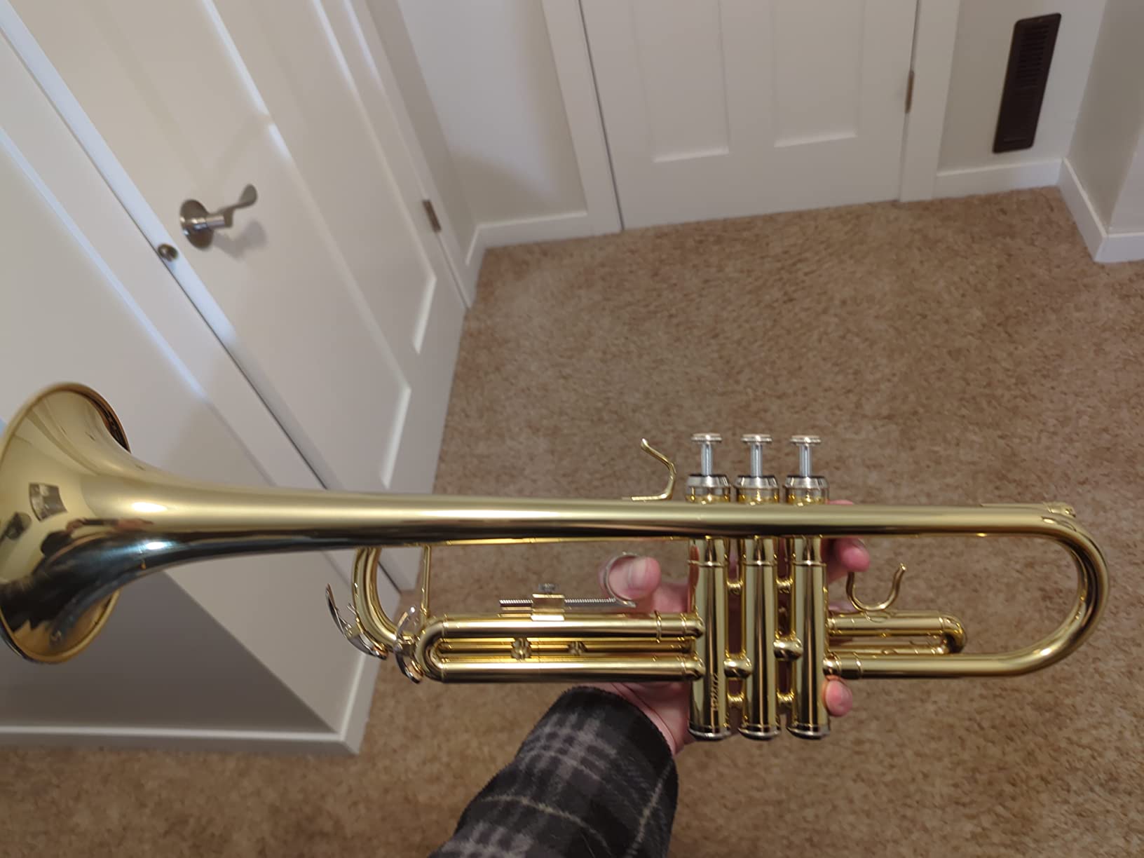 Trumpet Instrument,Band & Orchestra Musical Instruments for Beginners,With trumpets case,Mouthpiece,Cloth and Gloves (Golden) customer photo 2