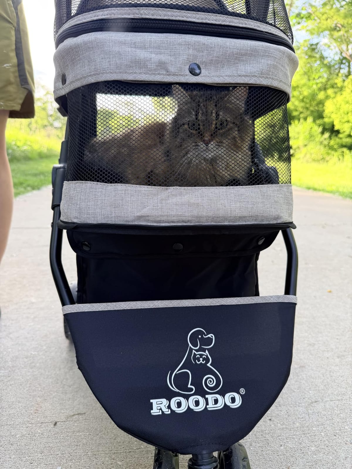 ROODO 3 Wheel Pet Stroller Best Lightweight Foldable Compact Portable Jogger All Terrain Travel Pet Gear Puppy Kitty Stroller for up to 30lbs Medium Small Dogs and Cats(Green) customer photo 1