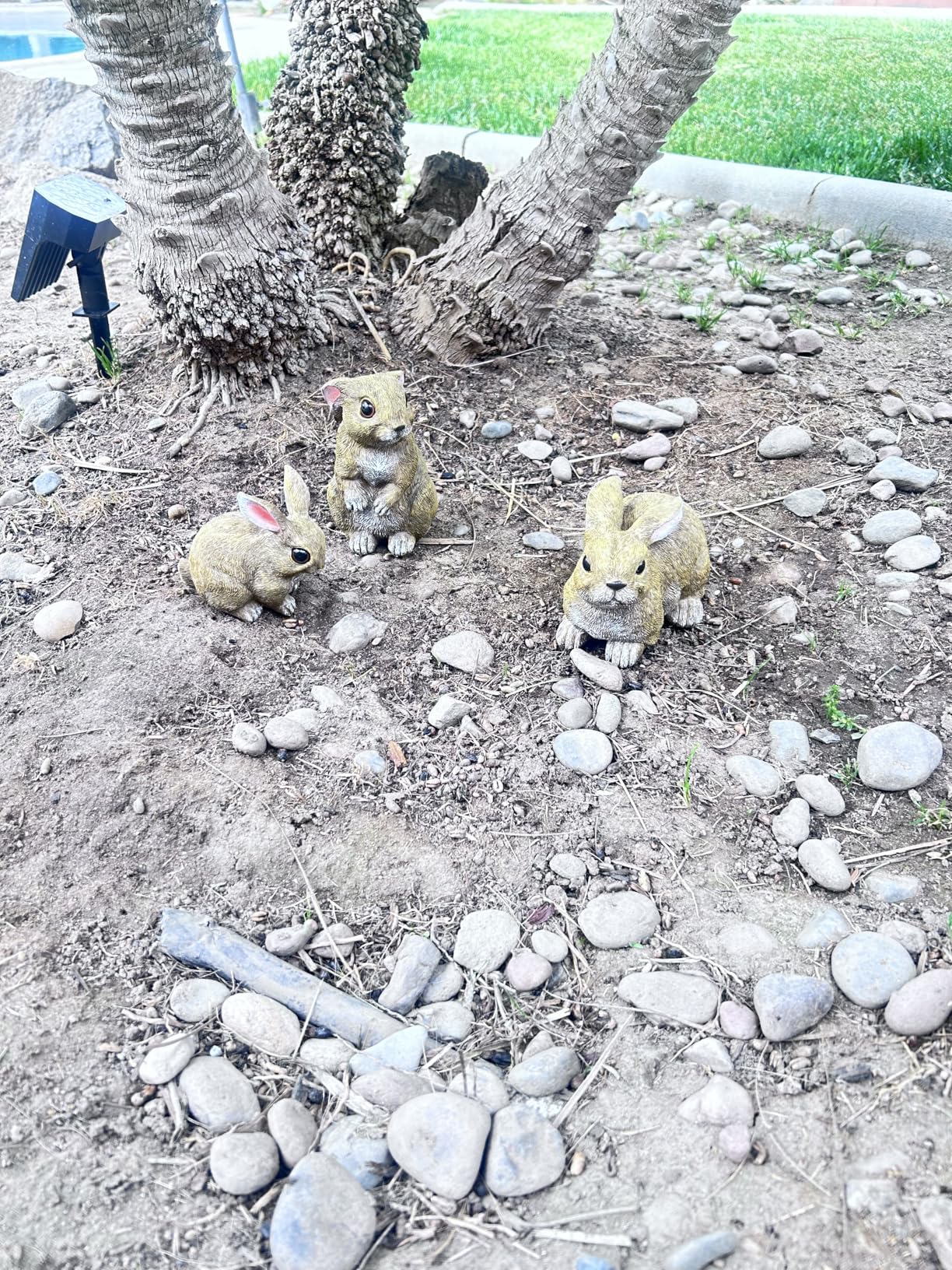 Bunny Decor Set of 3 Resin Easter Garden Statues Outdoor Indoor Home Yard | Easter Rabbit Figurines for Flower Bed Lawn, Spring Yard Decorations customer photo 2