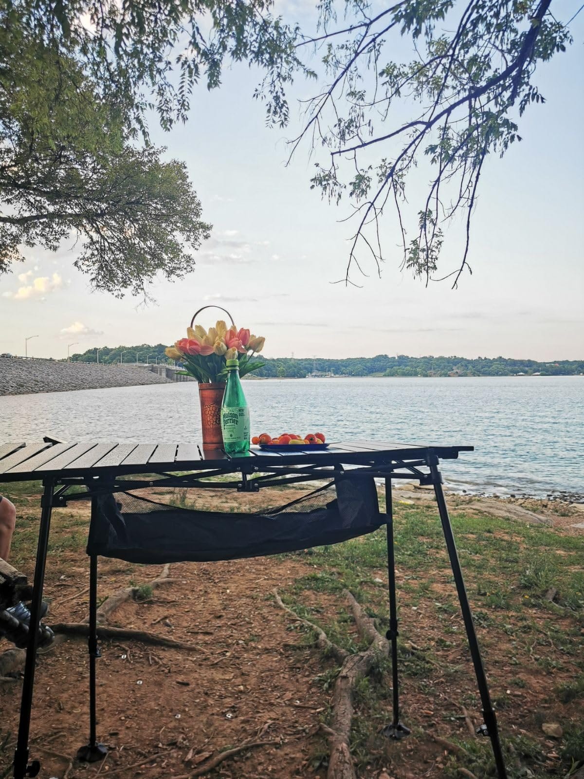 LET'S CAMP Folding Camping Table, Aluminum Roll-up Picnic Backpacking Table | Adjustable Height Camping Table Portable Picnic Dining Table Folding Card Table w/Handle Lightweight for Indoor Outdoor customer photo 1