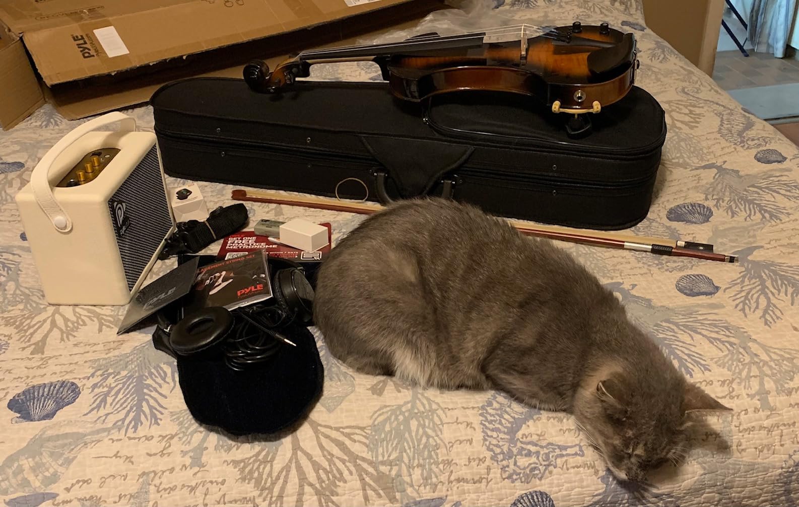 Pyle Full Size Electric Violin Kit - 4/4 Solid Wood Silent Fiddle with Hard Case, Bow, Ebony Fittings, and Digital Tuner customer photo 1