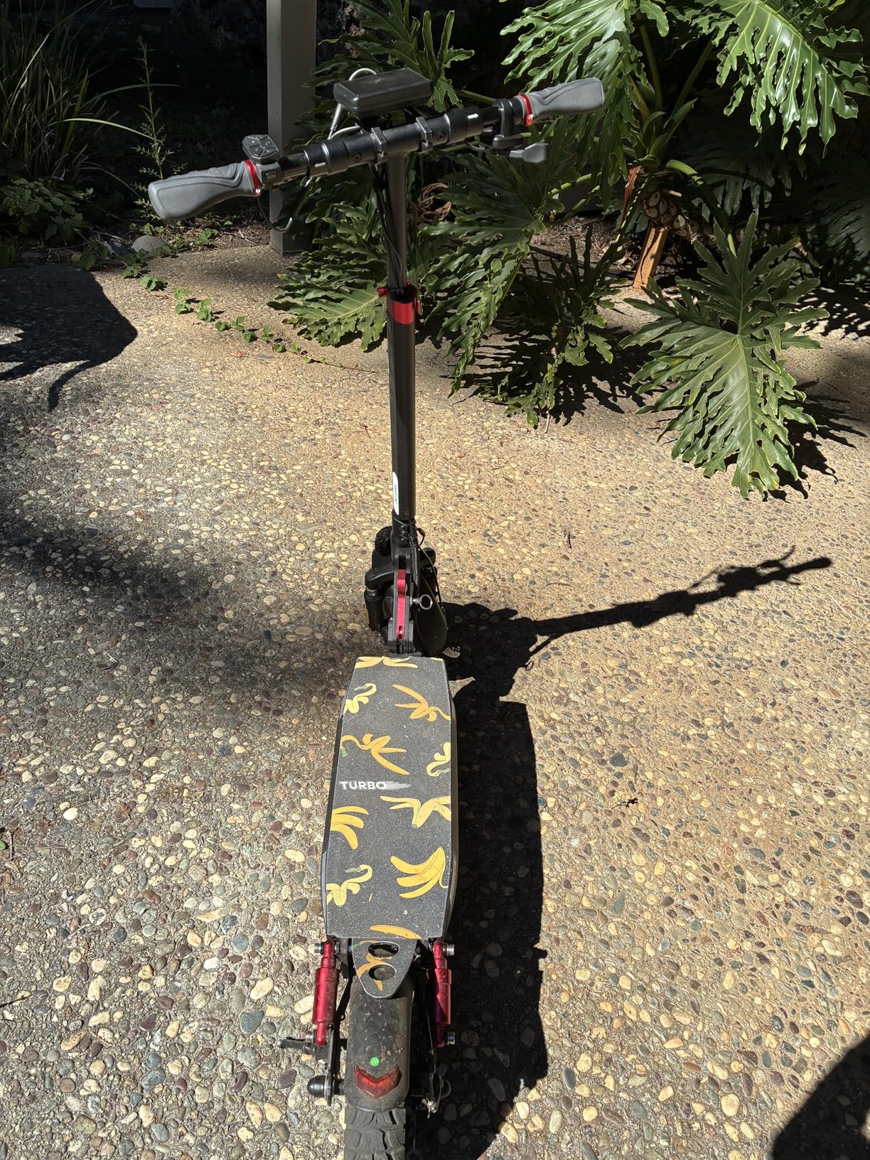 iScooter iX3/iX4 Electric Scooter, Off Road Tires, 800W Motor E-Scooter Up to 25/28 Miles Range,Top Speed 25/28 MPH, Adjustable Handlebar Height,Folding Commuting Electric Scooter for Adults customer photo 2