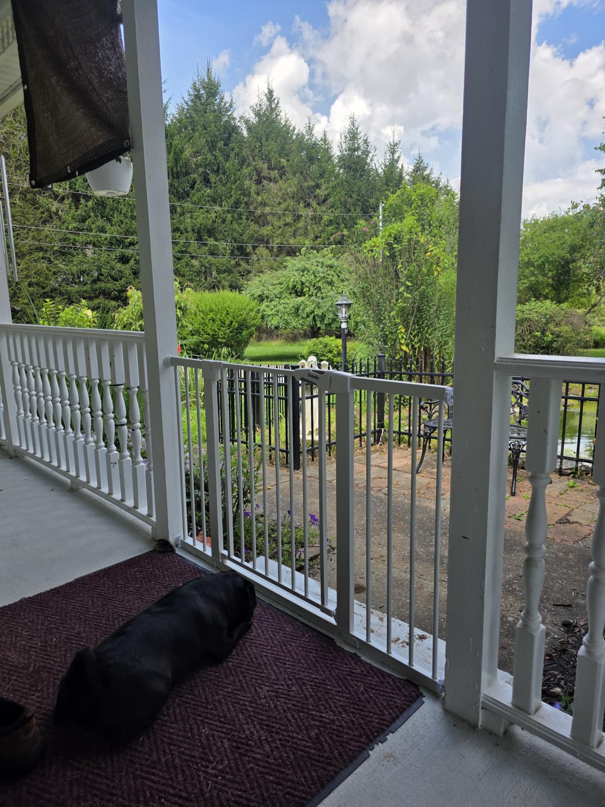 Babelio 29-55 Inch Extra Wide Baby/Dog Gate, PressGuard P7, Metal Auto Close, Pressure Mounted Pet Door for Doorways, NO Need Tools and Drilling, with Wall Cups, White customer photo 2