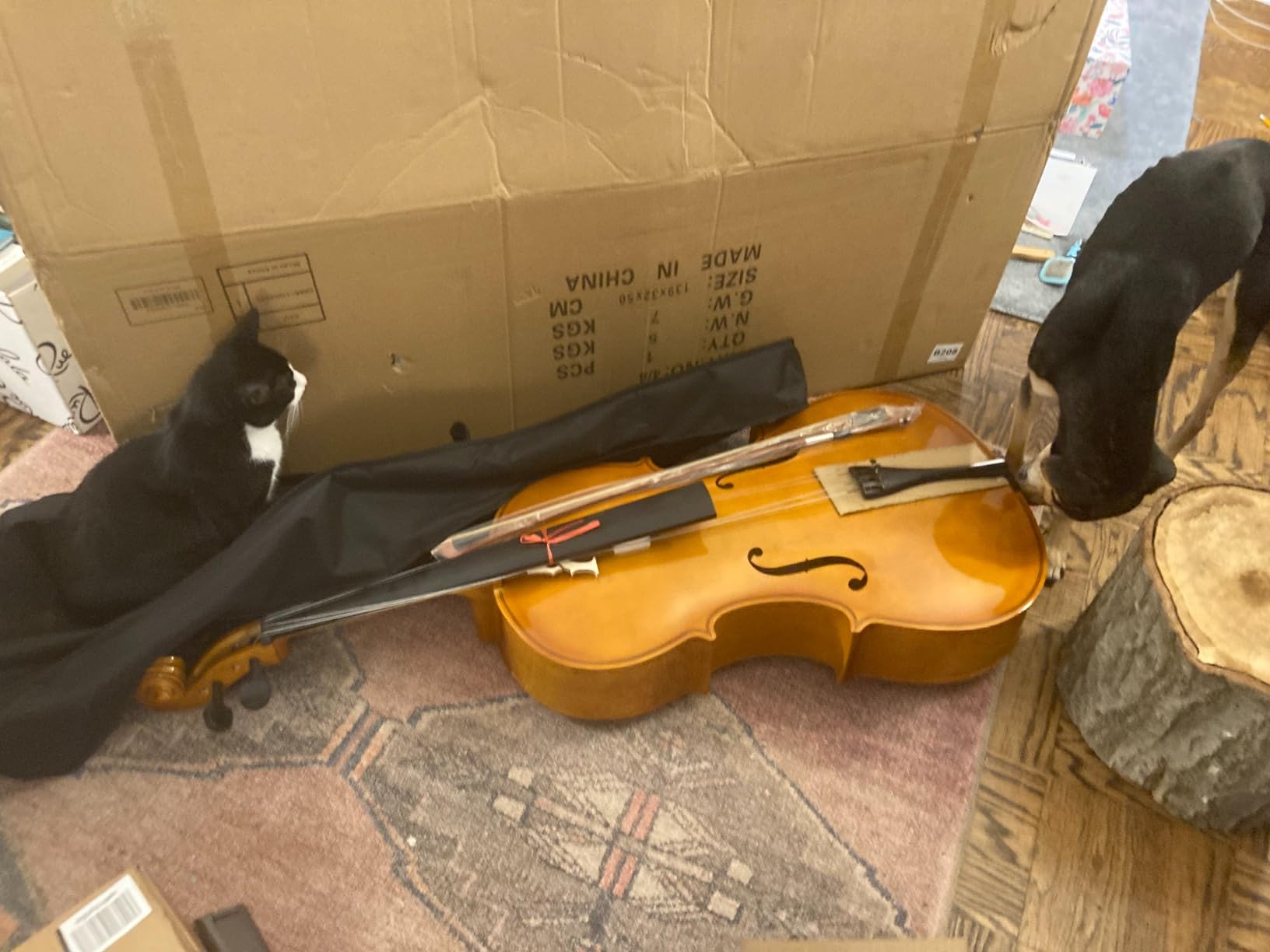 Ktaxon Full-Size Cello, Beginner Cello 4/4, Acoustic Cello Kit | Full Equipment with Portable Bag, Bow, Bridge and Rosin for Beginners | Adults & Kids String Musical (Nature) customer photo 2