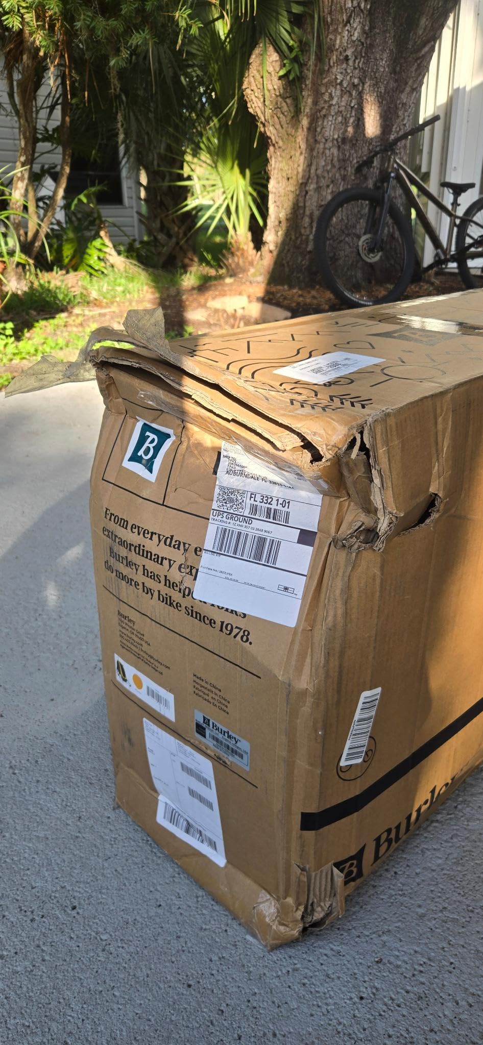 Burley Bee, 1 and 2 Seat, Lightweight, Kids Bike-Only Trailer customer photo 2