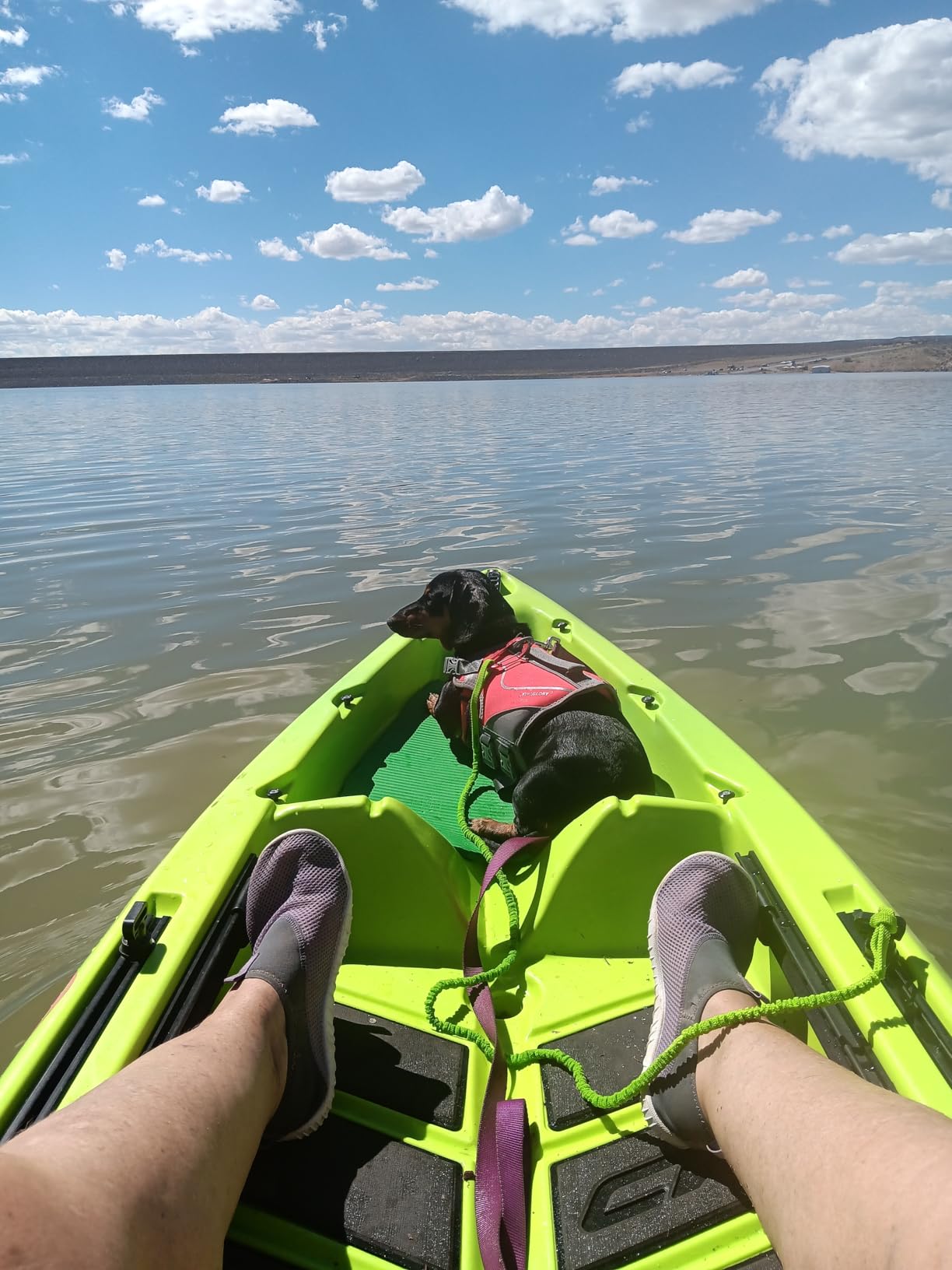 OCEANBROAD Kayak Paddle Leash Accessories for Kayaking Fishing Paddle Board | 4-7ft Stretchable, Kayak Paddle Strap, Kayak Tether, Oar Leashes customer photo 2